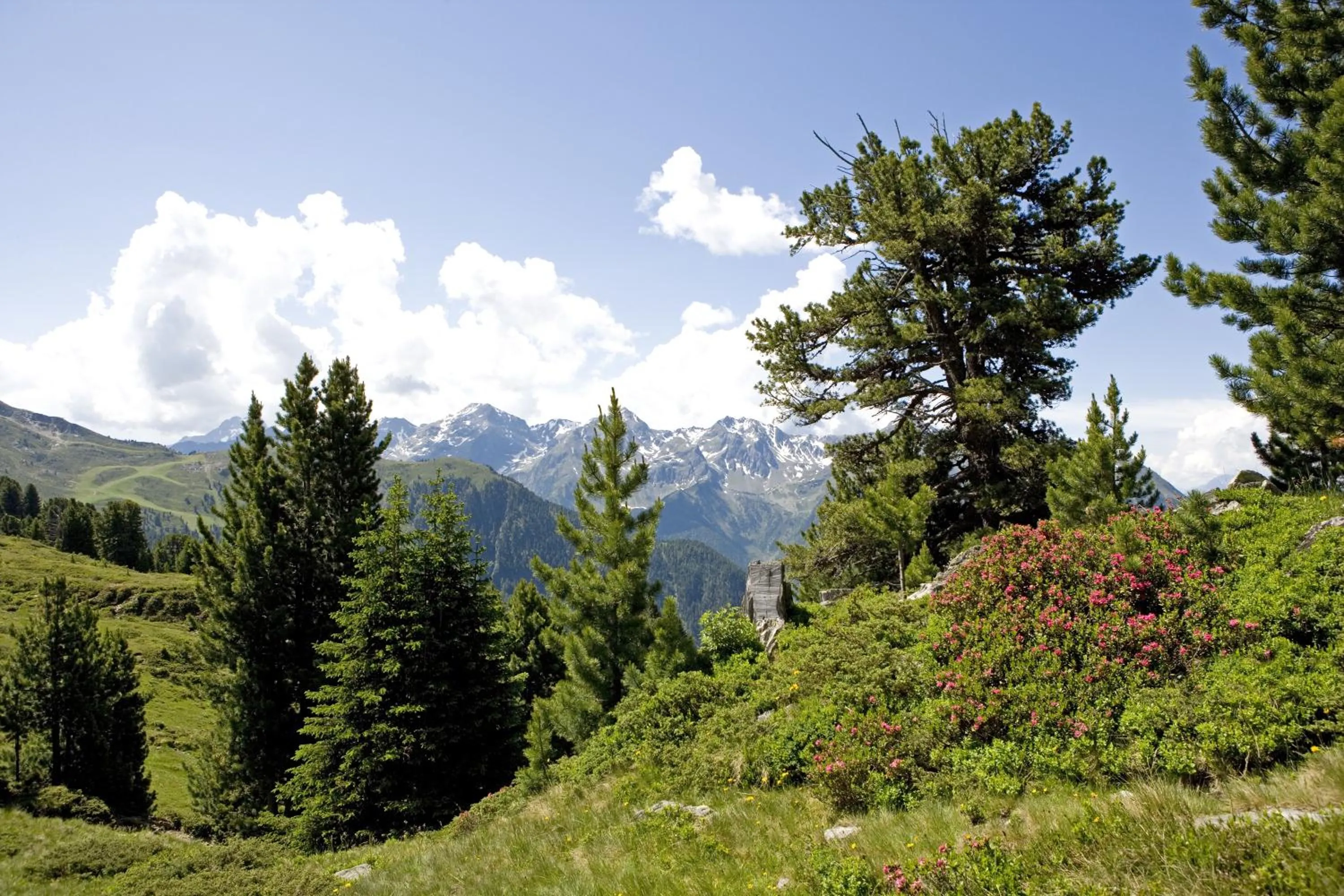 Natural landscape in Hotel Andy 4 Sterne Superior