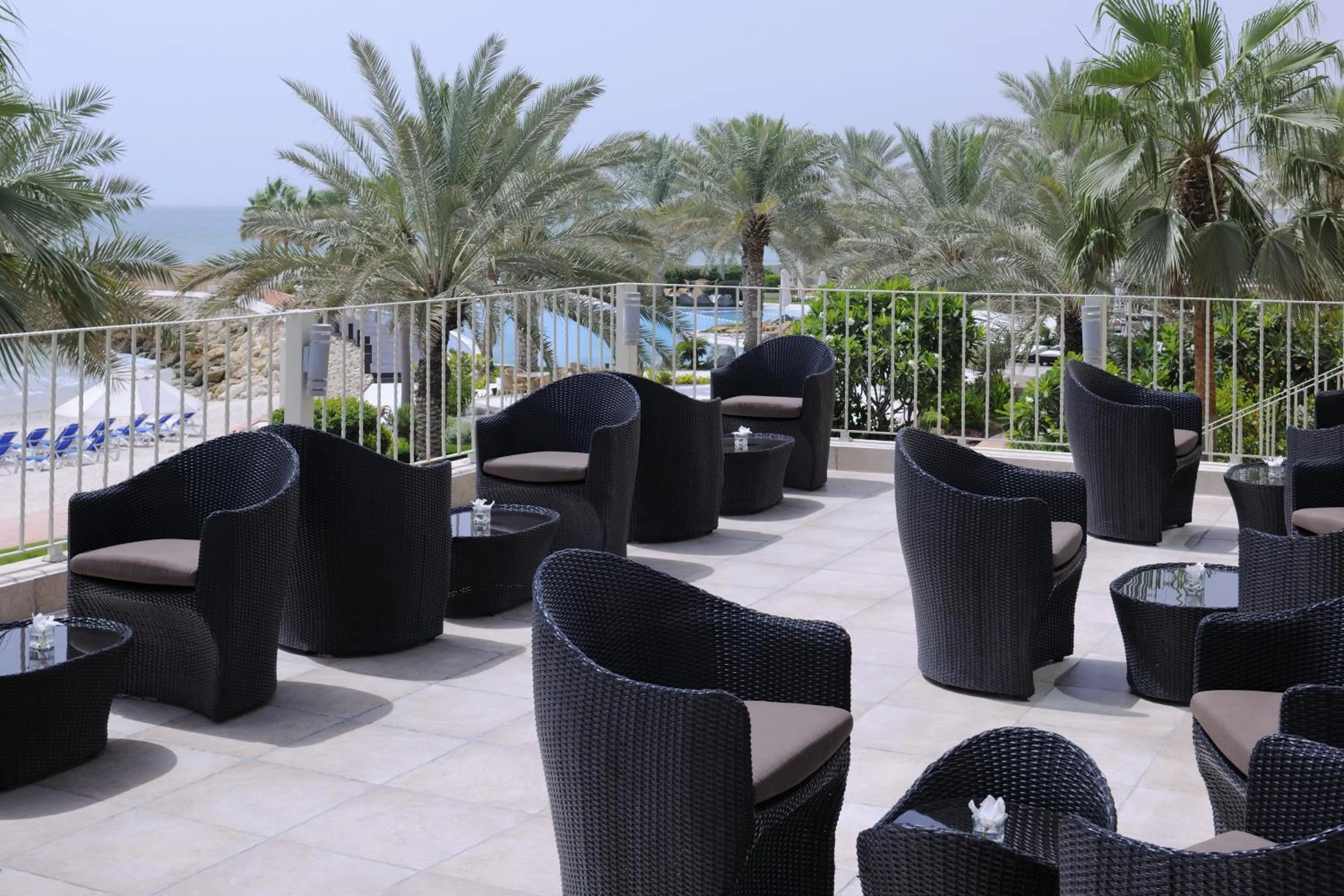 Lounge or bar in Mövenpick Hotel & Resort Al Bida'a
