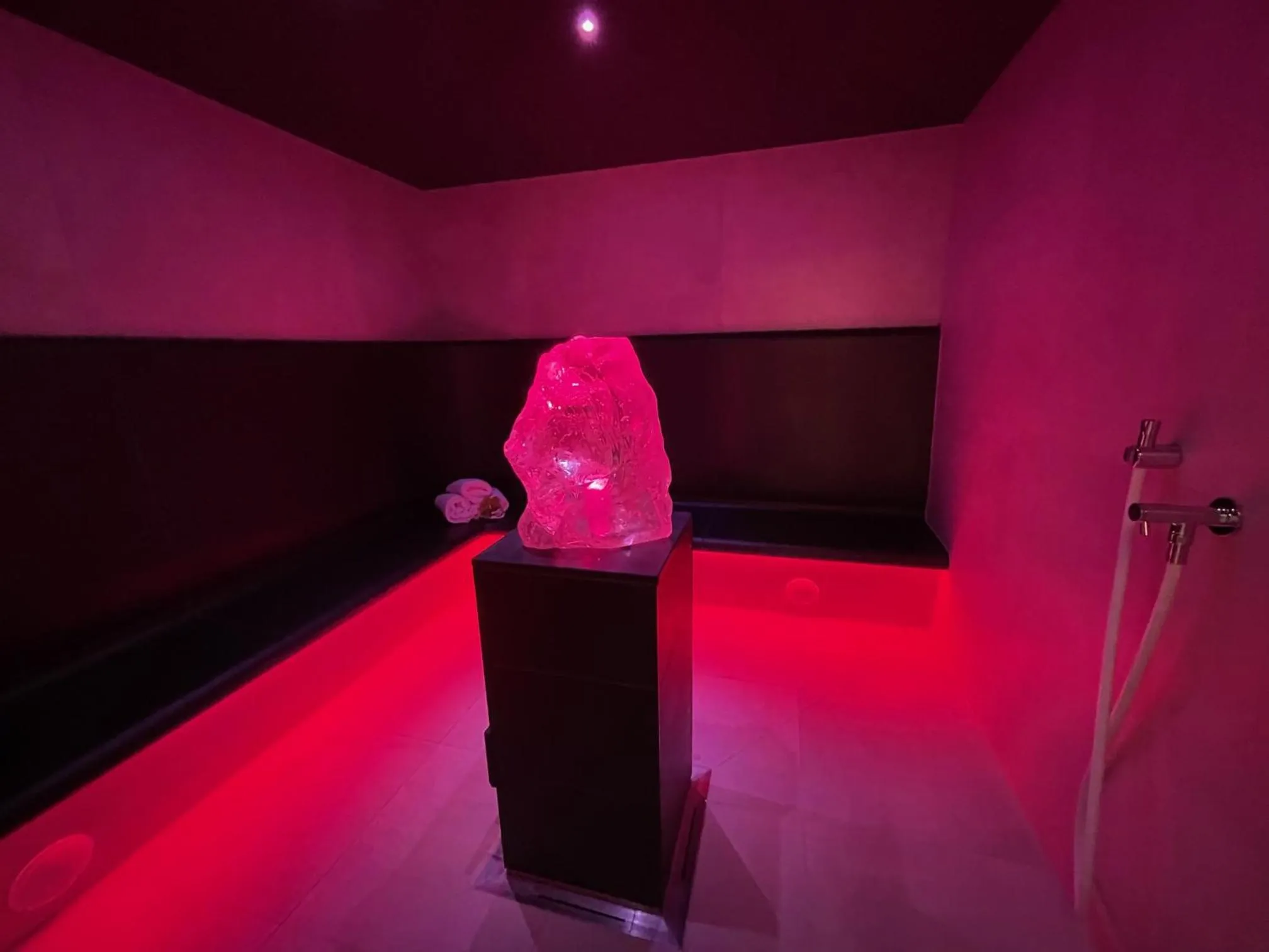 Spa and wellness centre/facilities in Ferienwohnungen Fischland