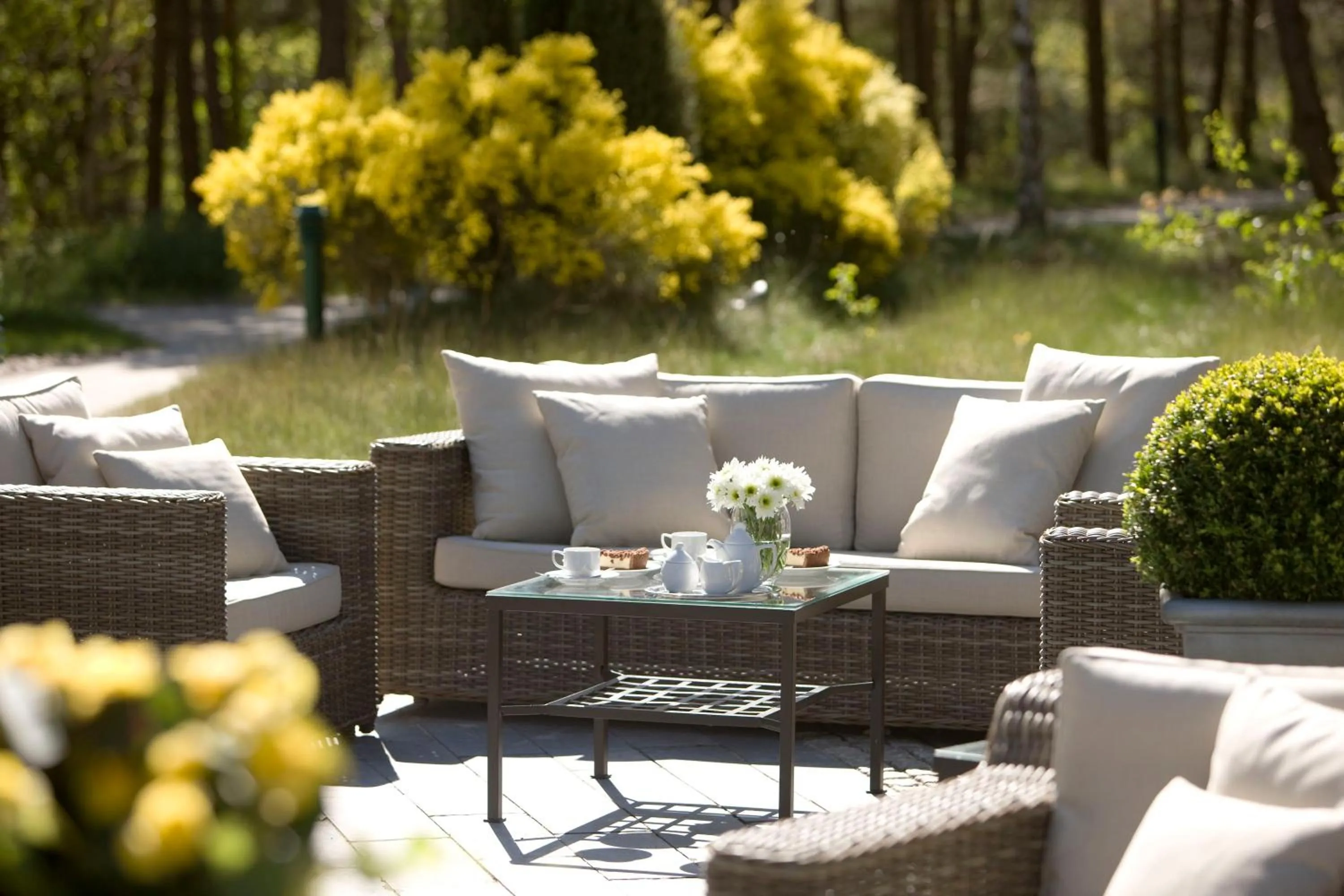 Restaurant/places to eat in Ferienwohnungen Fischland