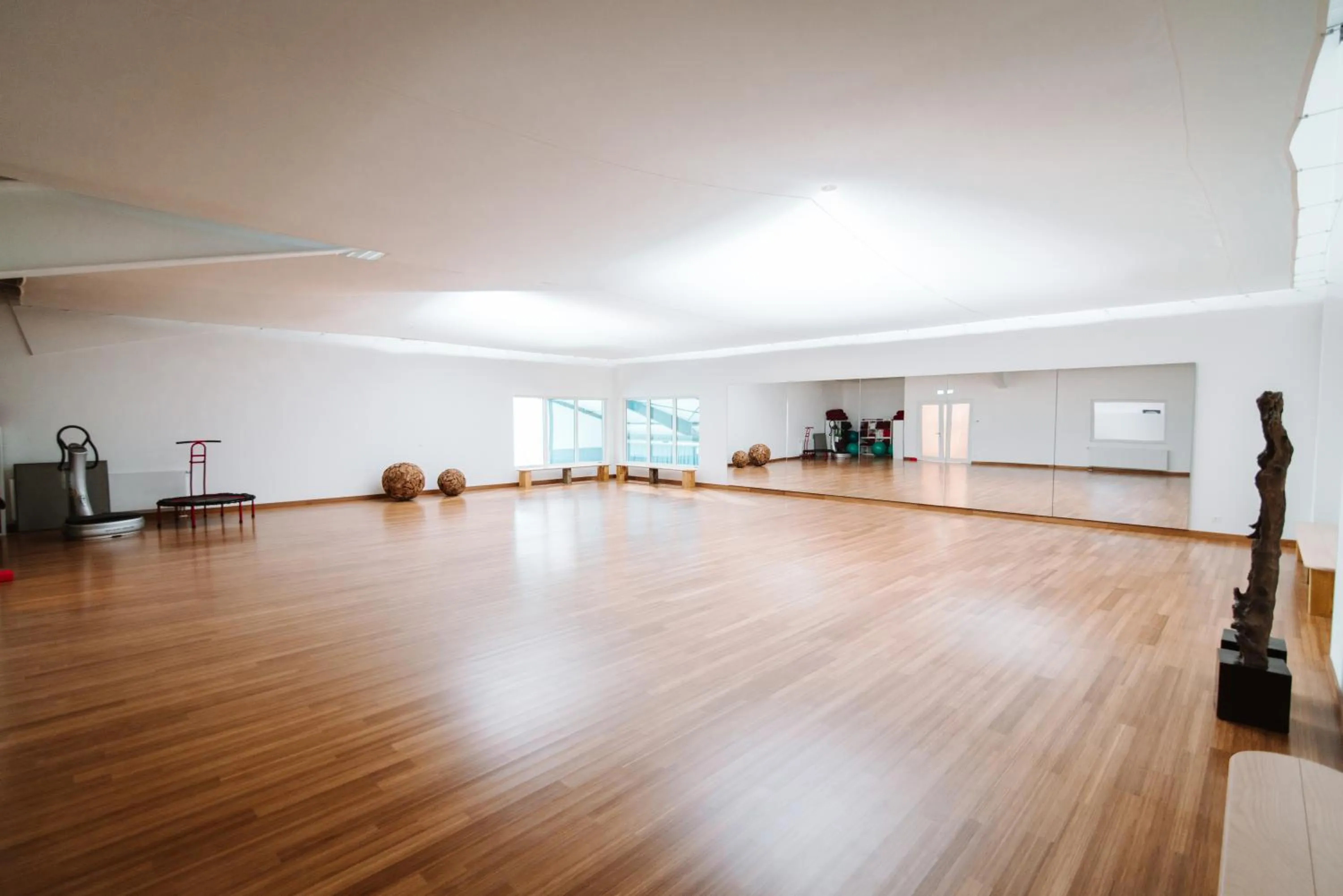 Fitness centre/facilities in Ferienwohnungen Fischland