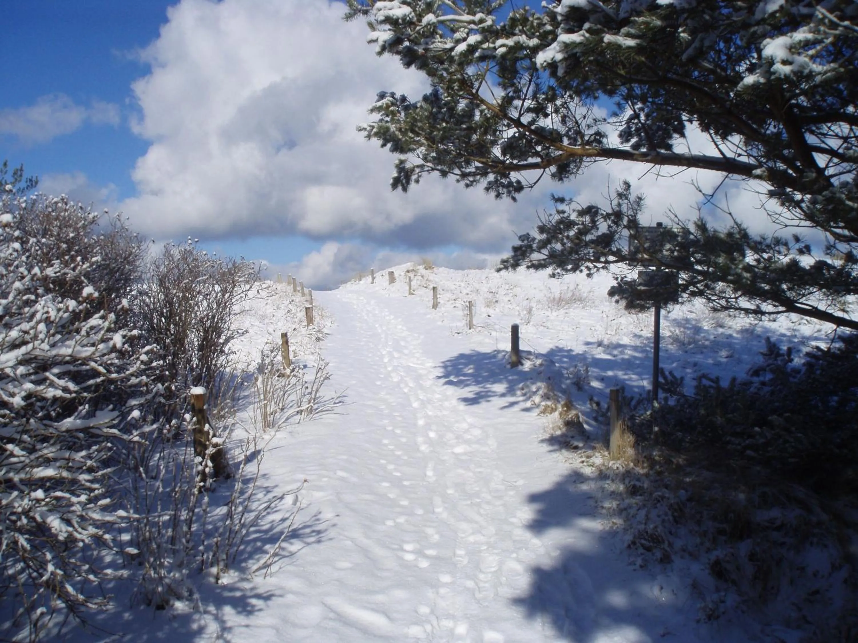 Natural landscape in Ferienwohnungen Fischland