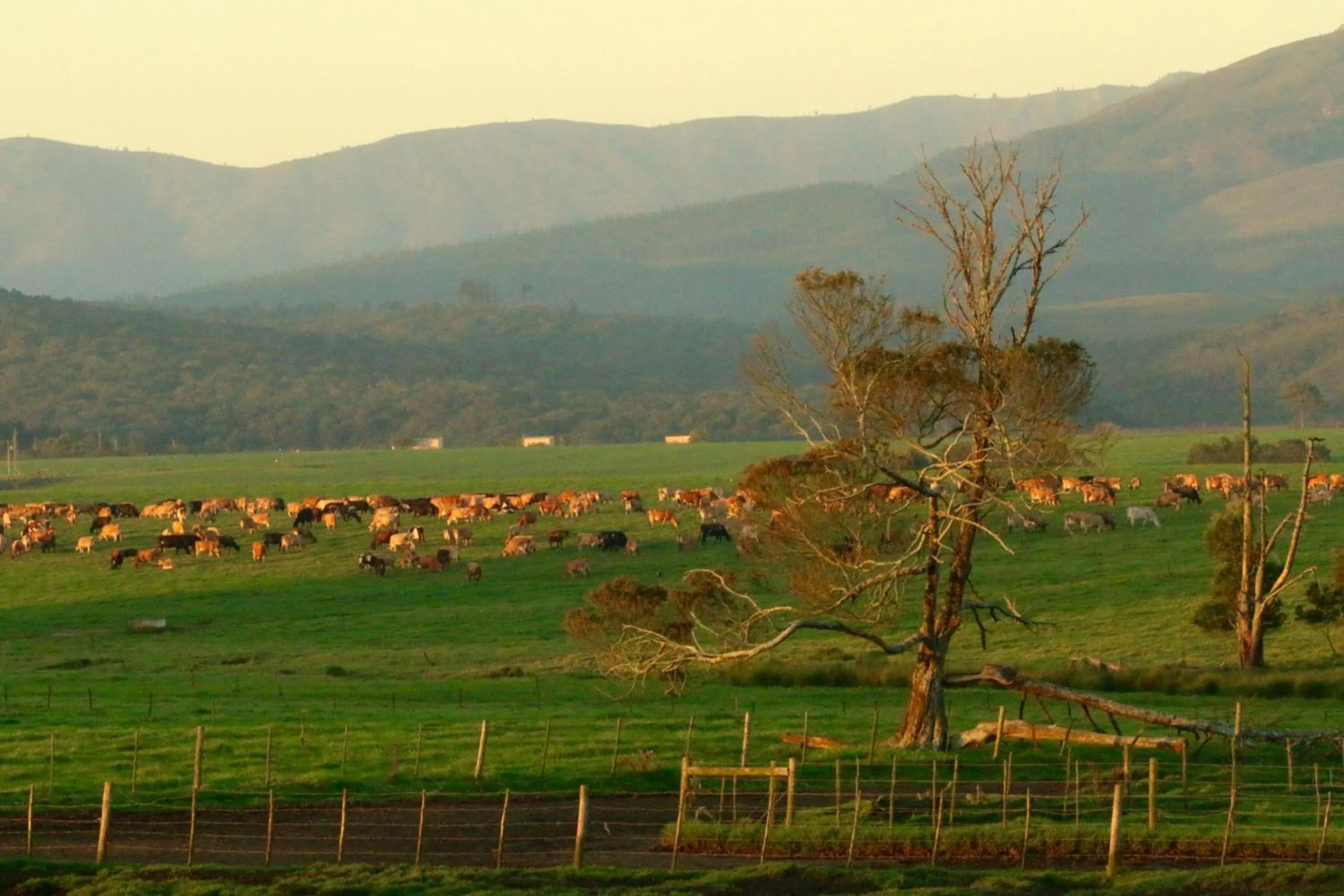 Natural landscape in Libertas Guest Farm