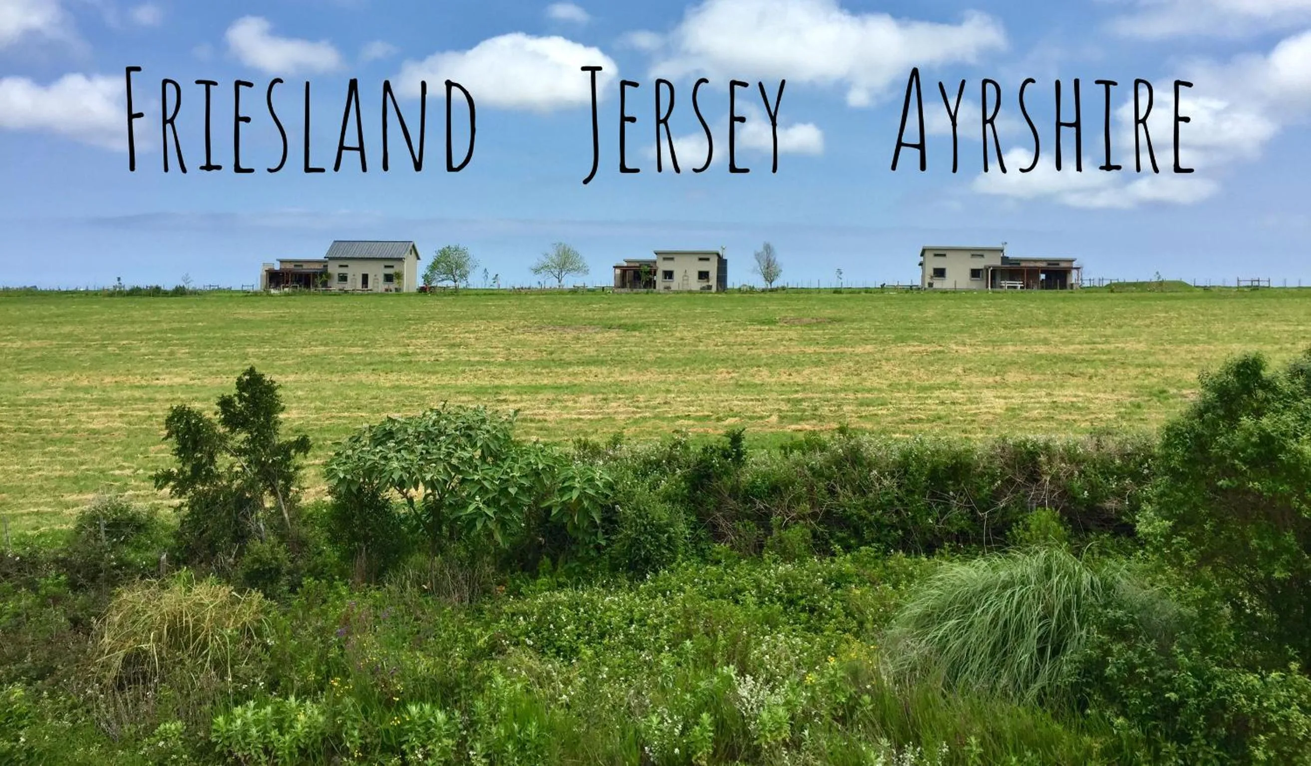 Property building in Libertas Guest Farm