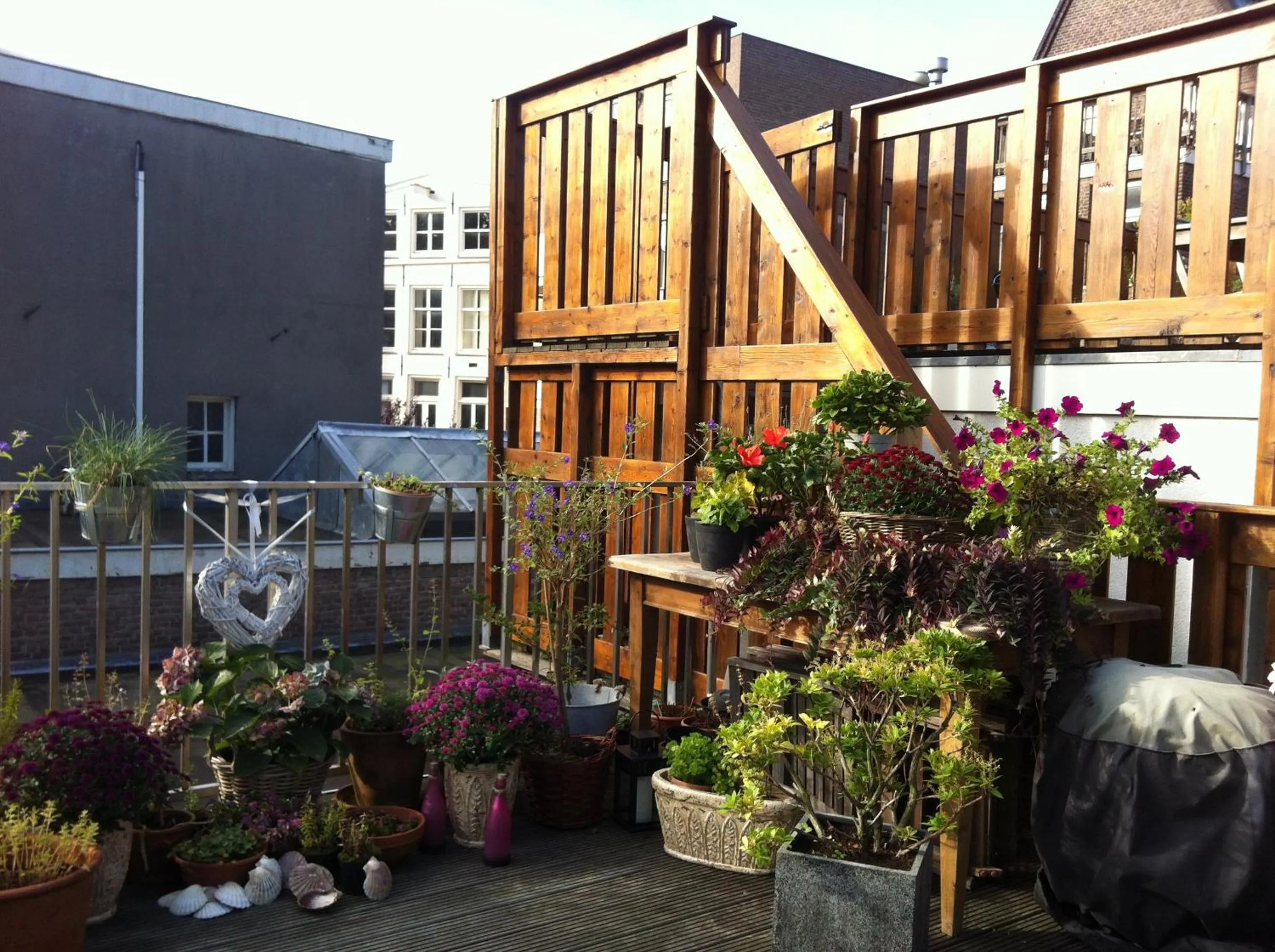Garden in Prince On The Roof