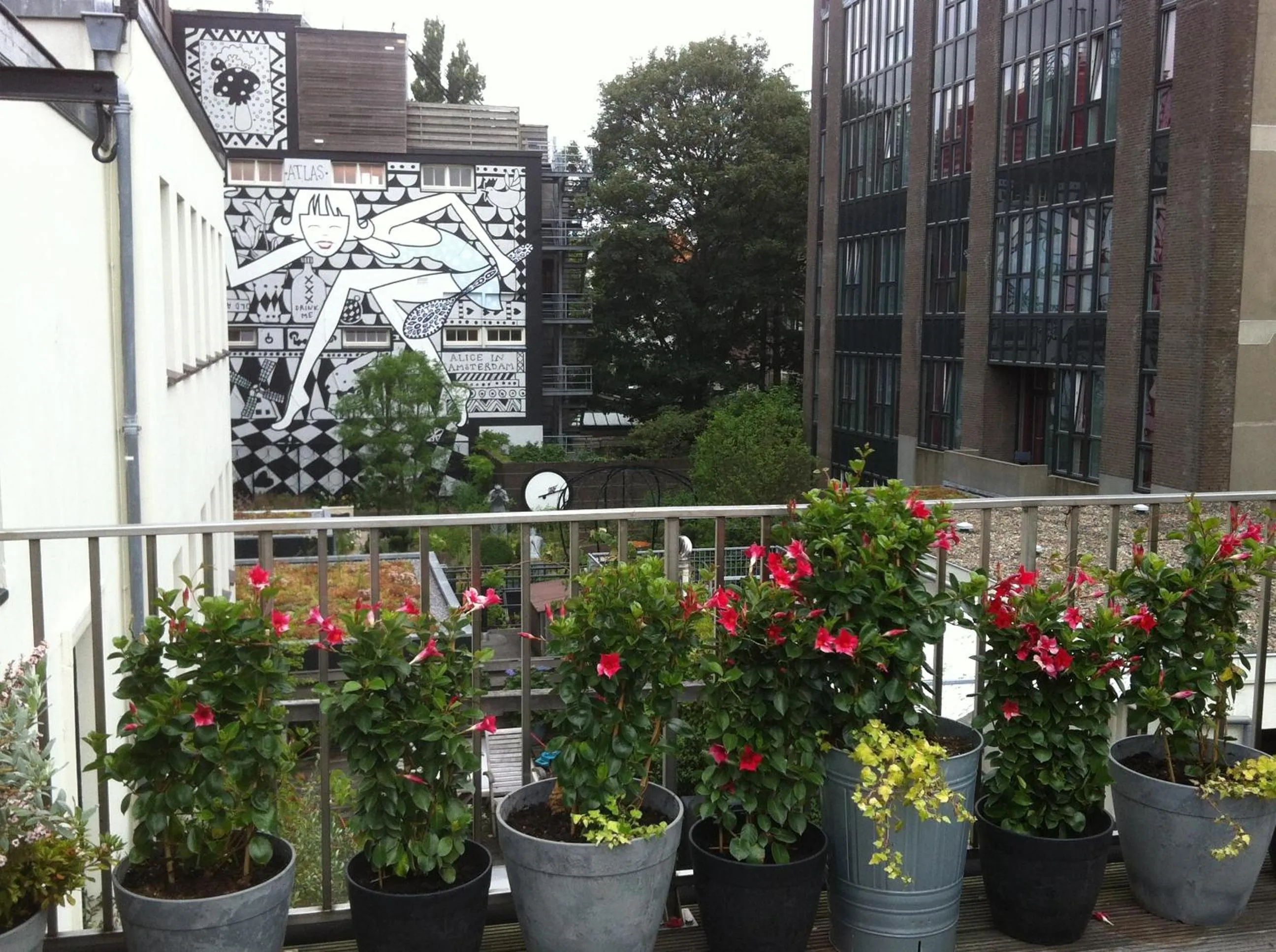 Garden in Prince On The Roof
