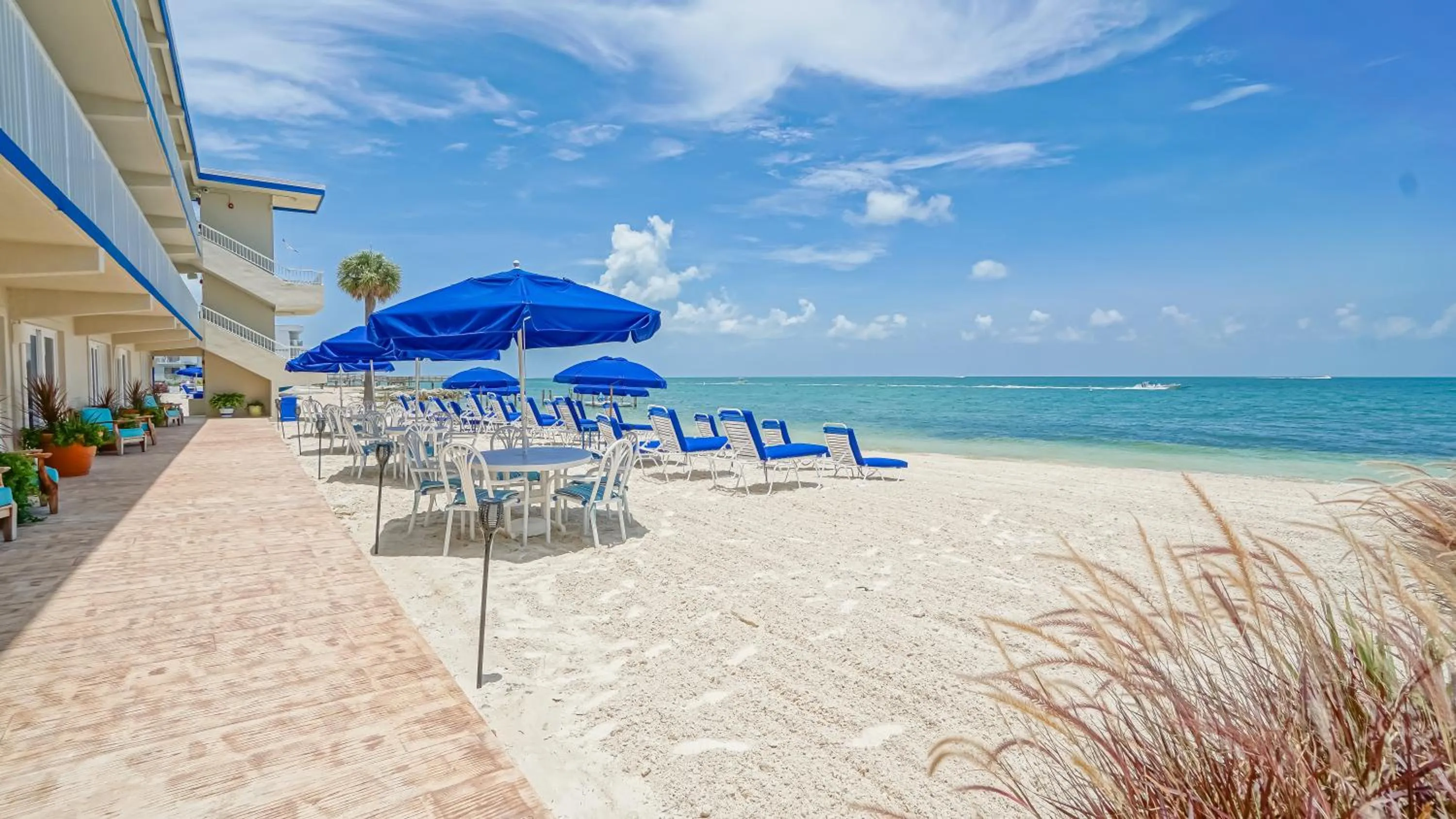 Beach in Glunz Ocean Beach Hotel and Resort