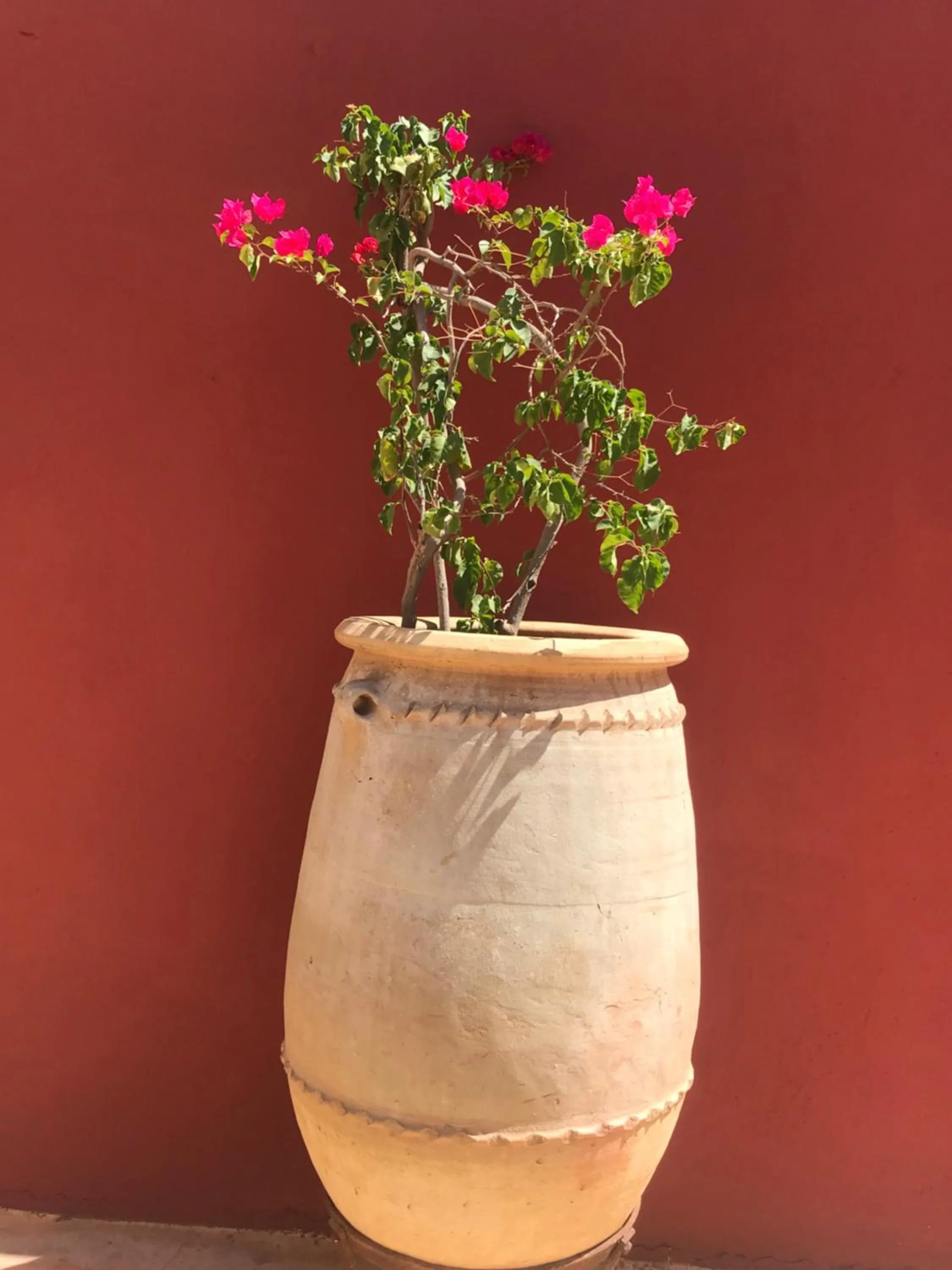 Patio in DAR CHIBANIA