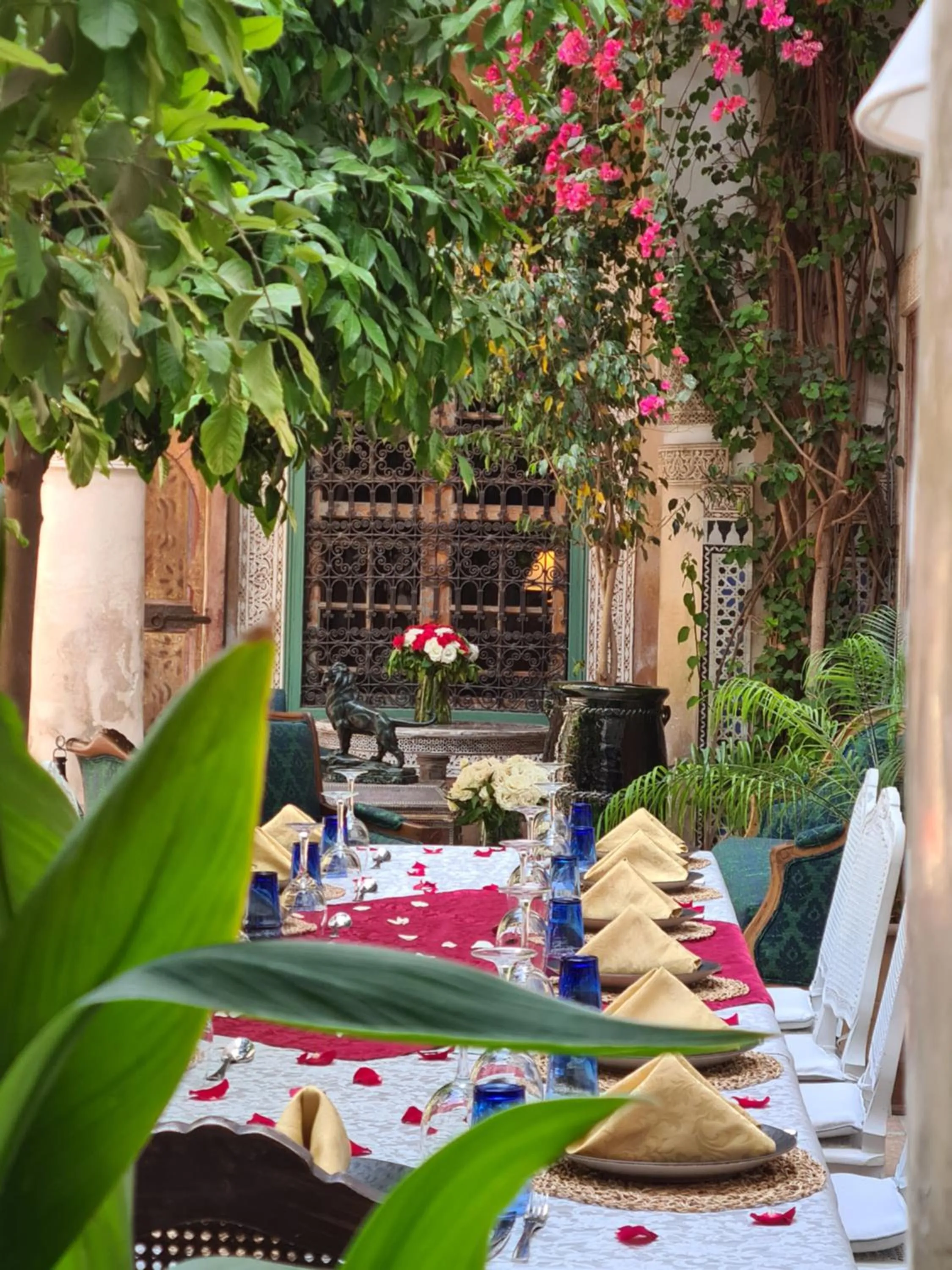 Patio in DAR CHIBANIA