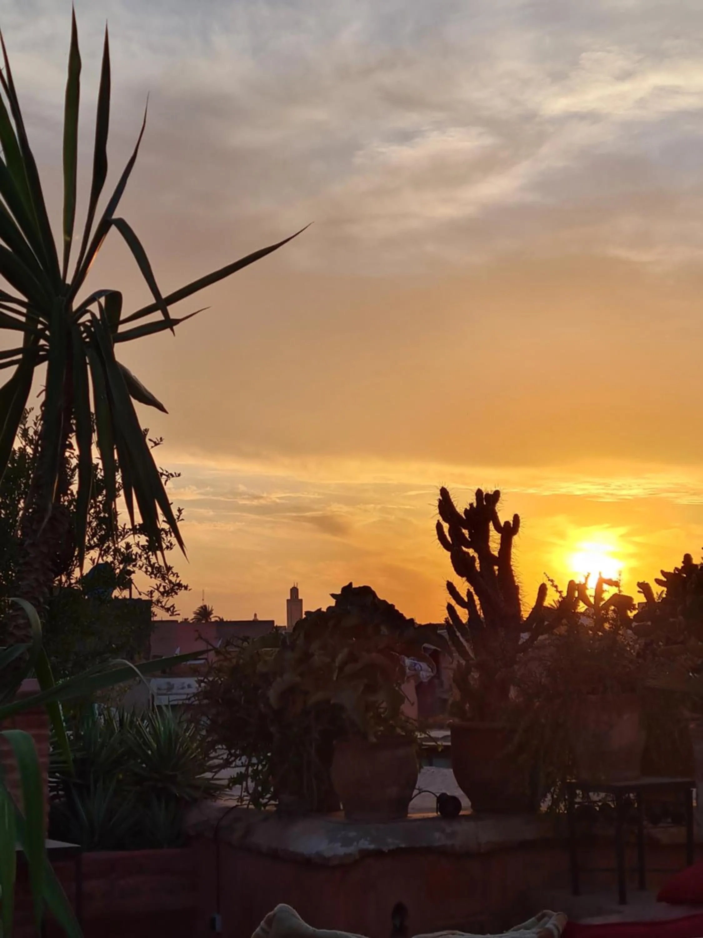 Patio in DAR CHIBANIA