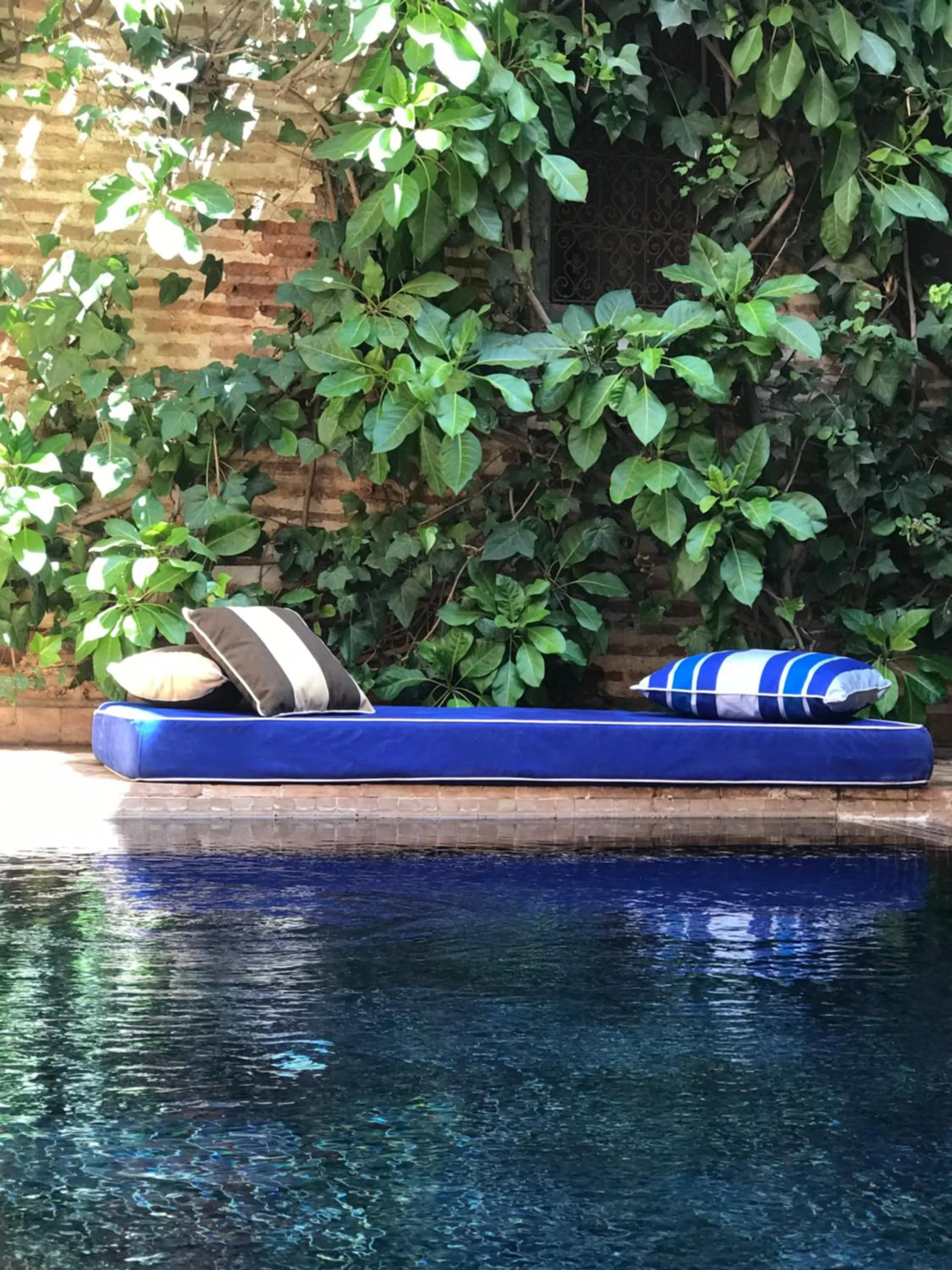 Garden in DAR CHIBANIA