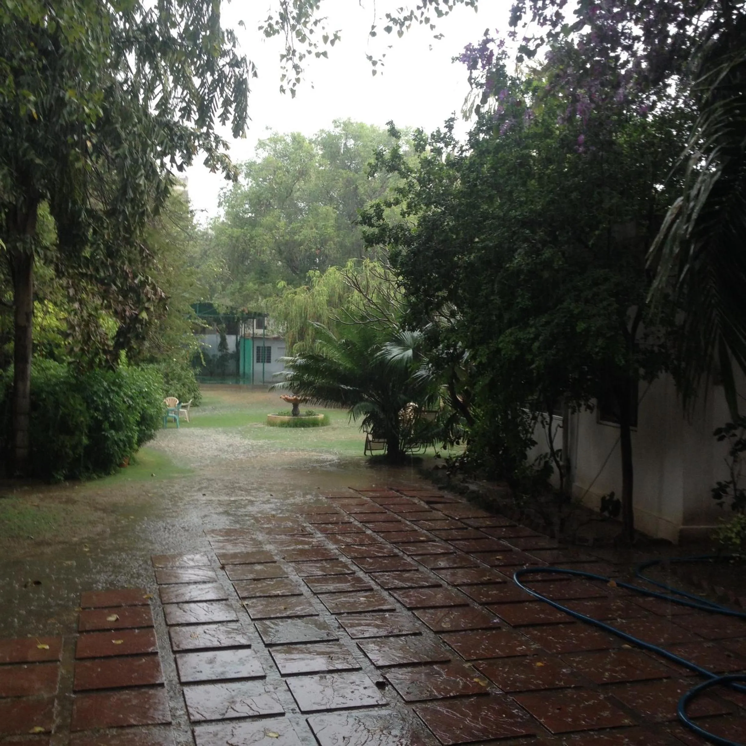 On site in Shahar Palace