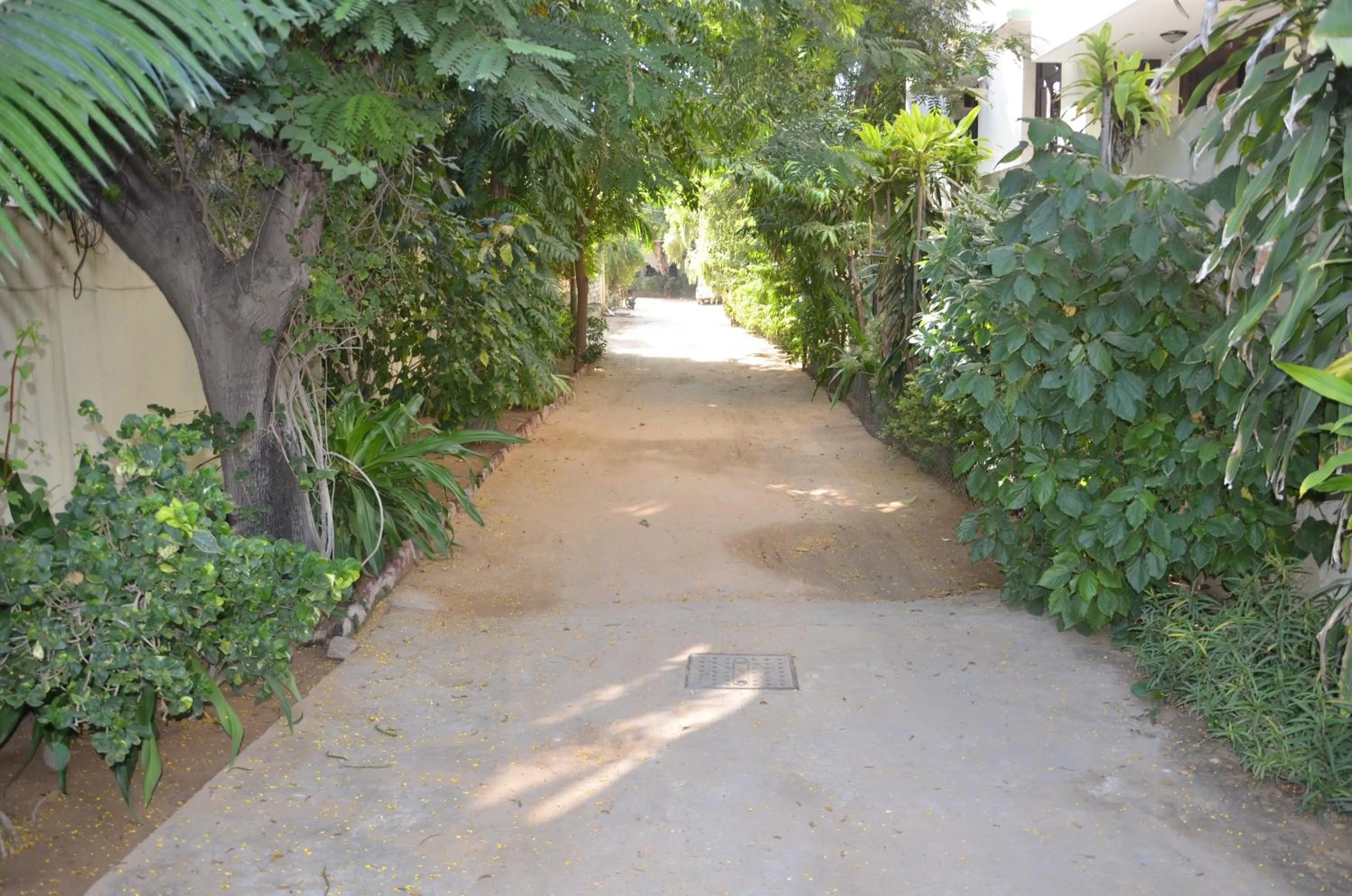 View (from property/room) in Shahar Palace