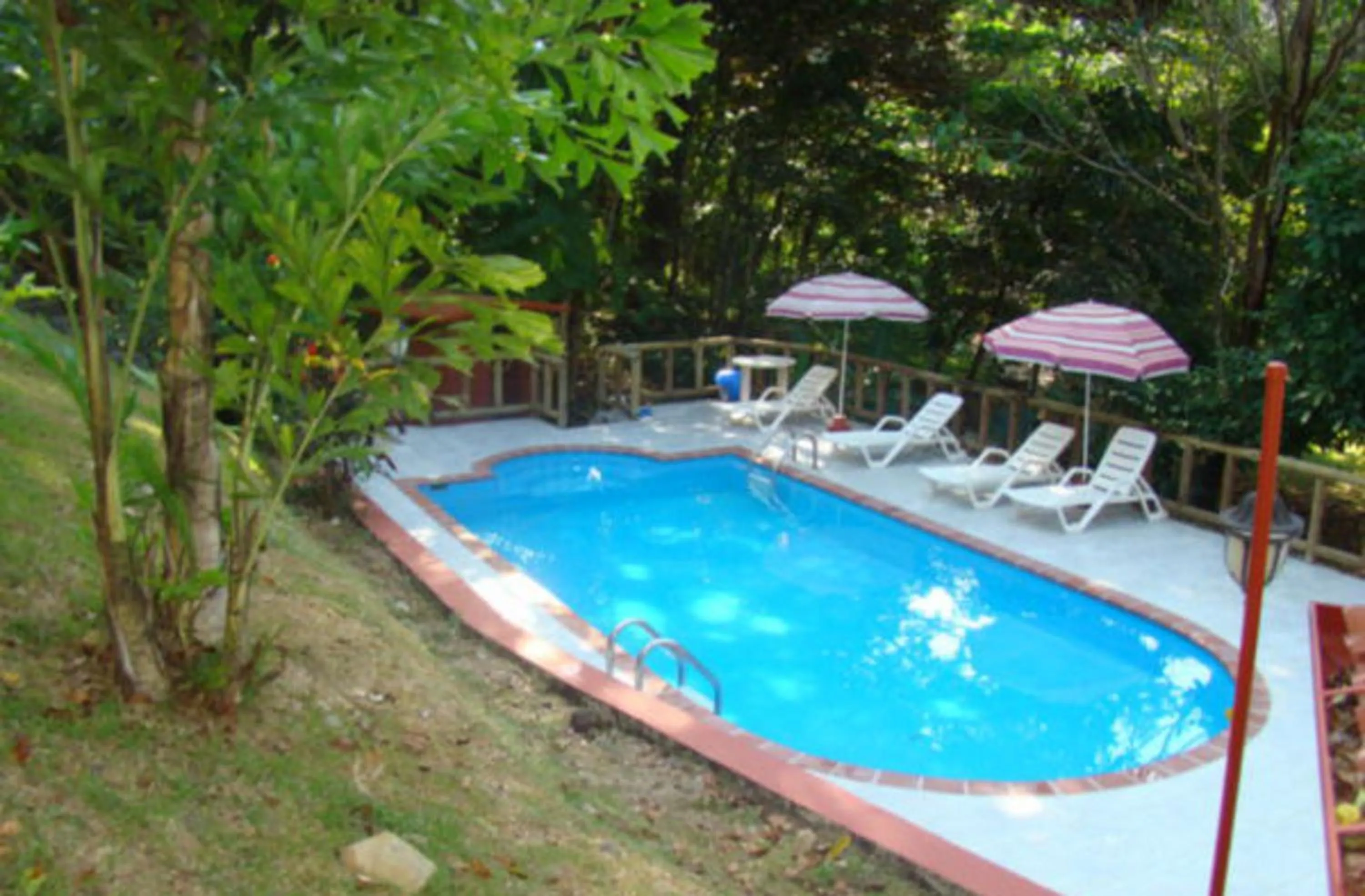 Swimming pool in Hotel Samsara