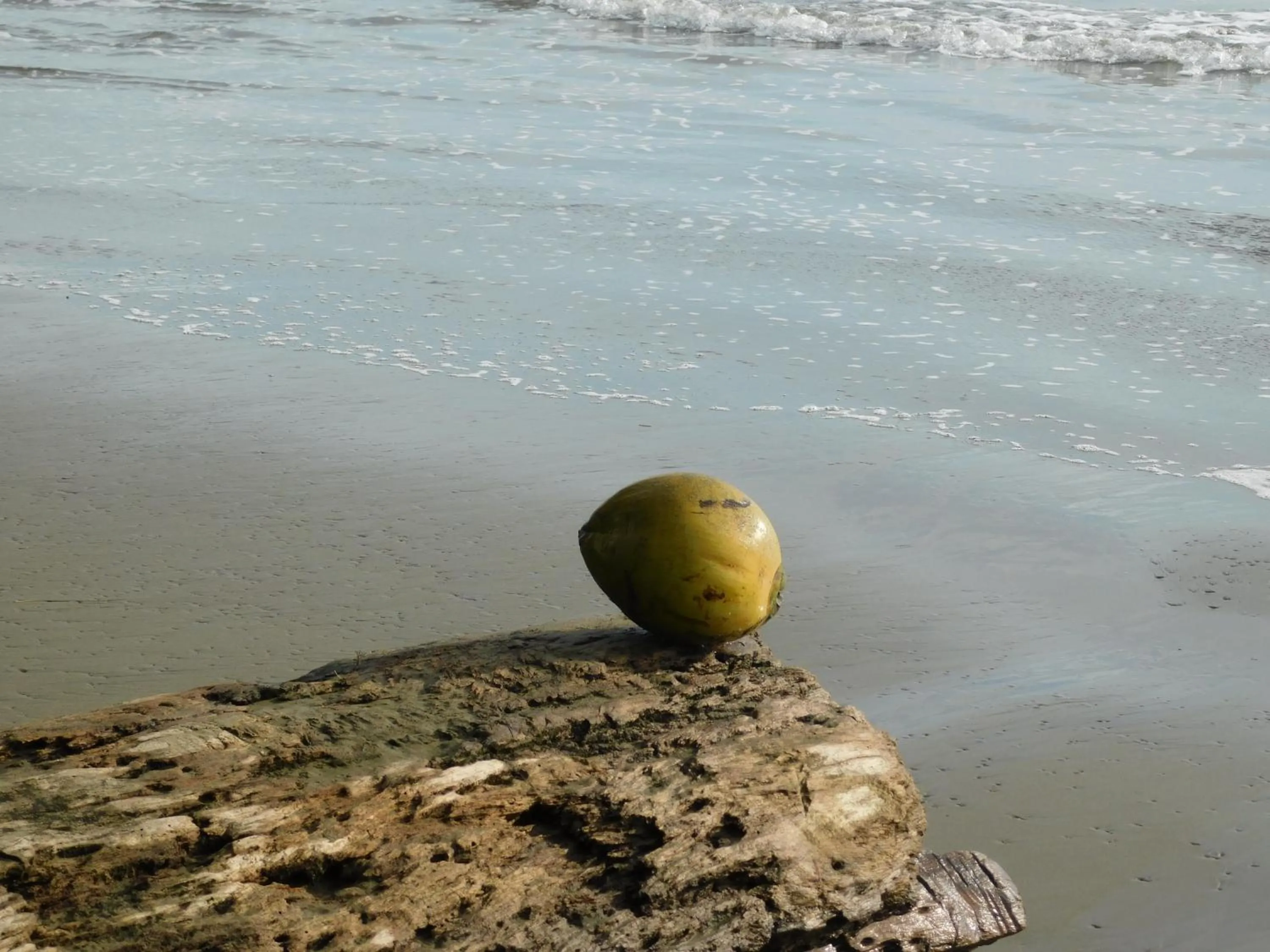 Beach in Hotel Samsara