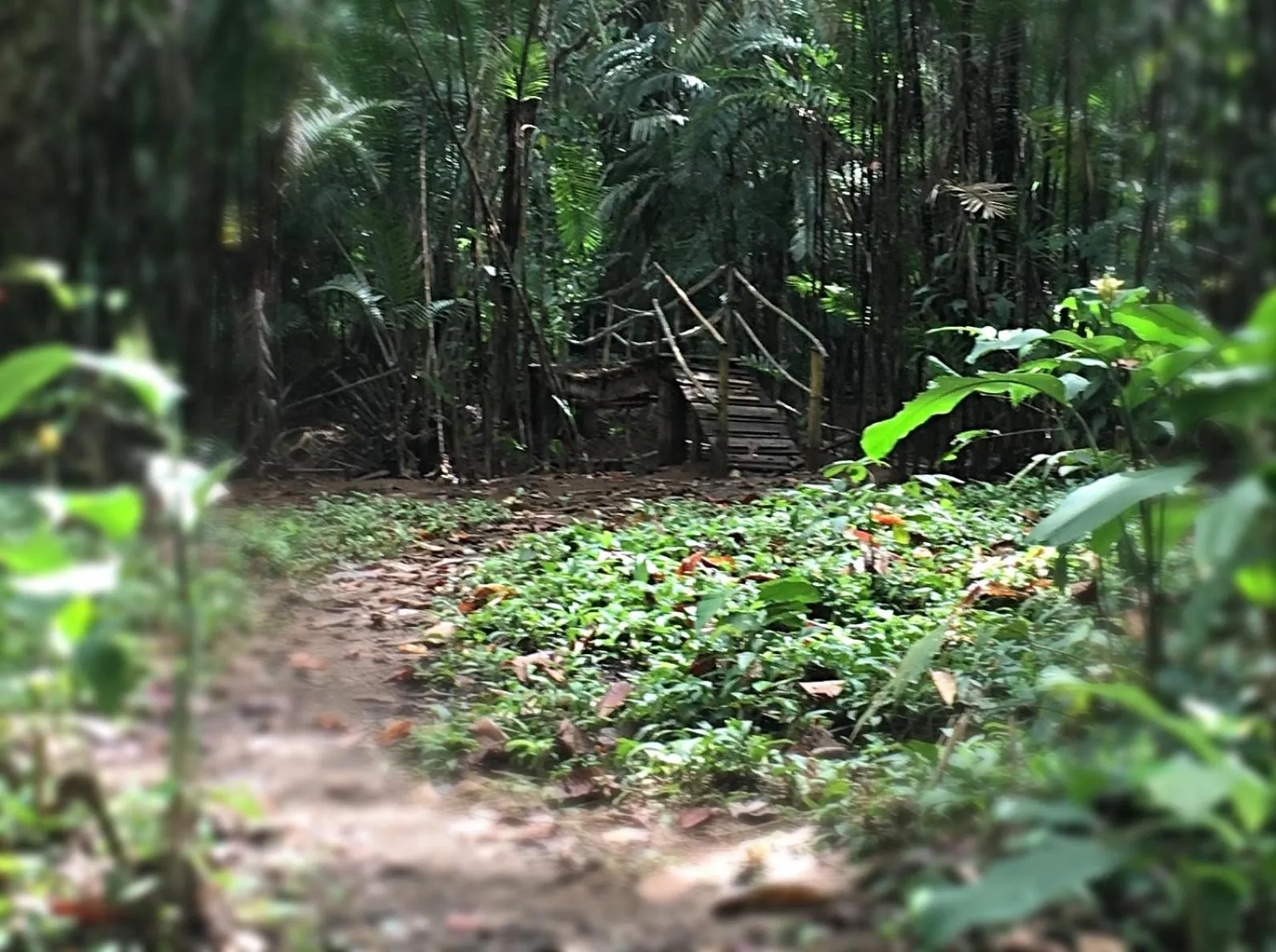 Hiking in Hotel Samsara