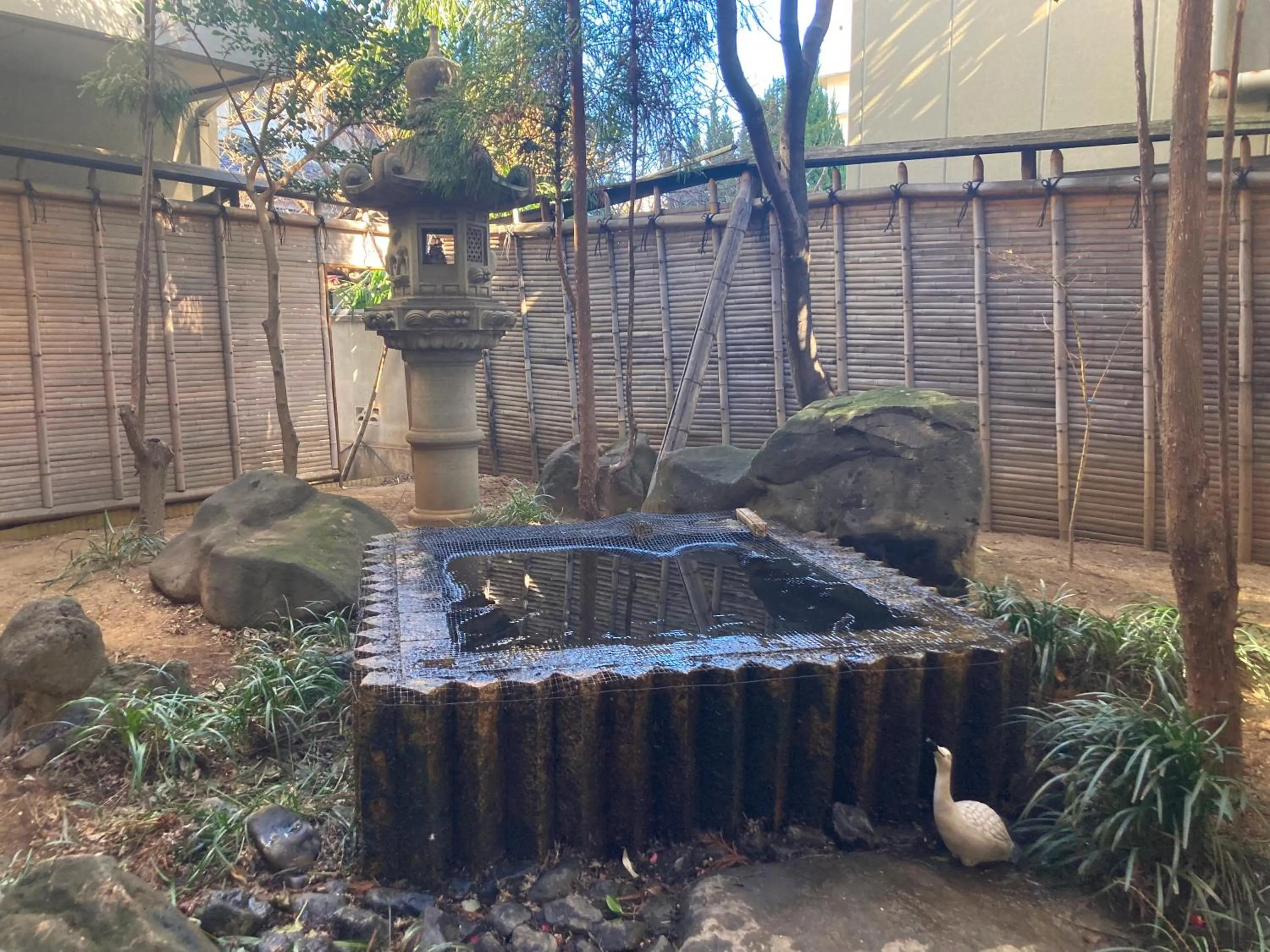 Natural landscape in Hotel Kimiyoshi