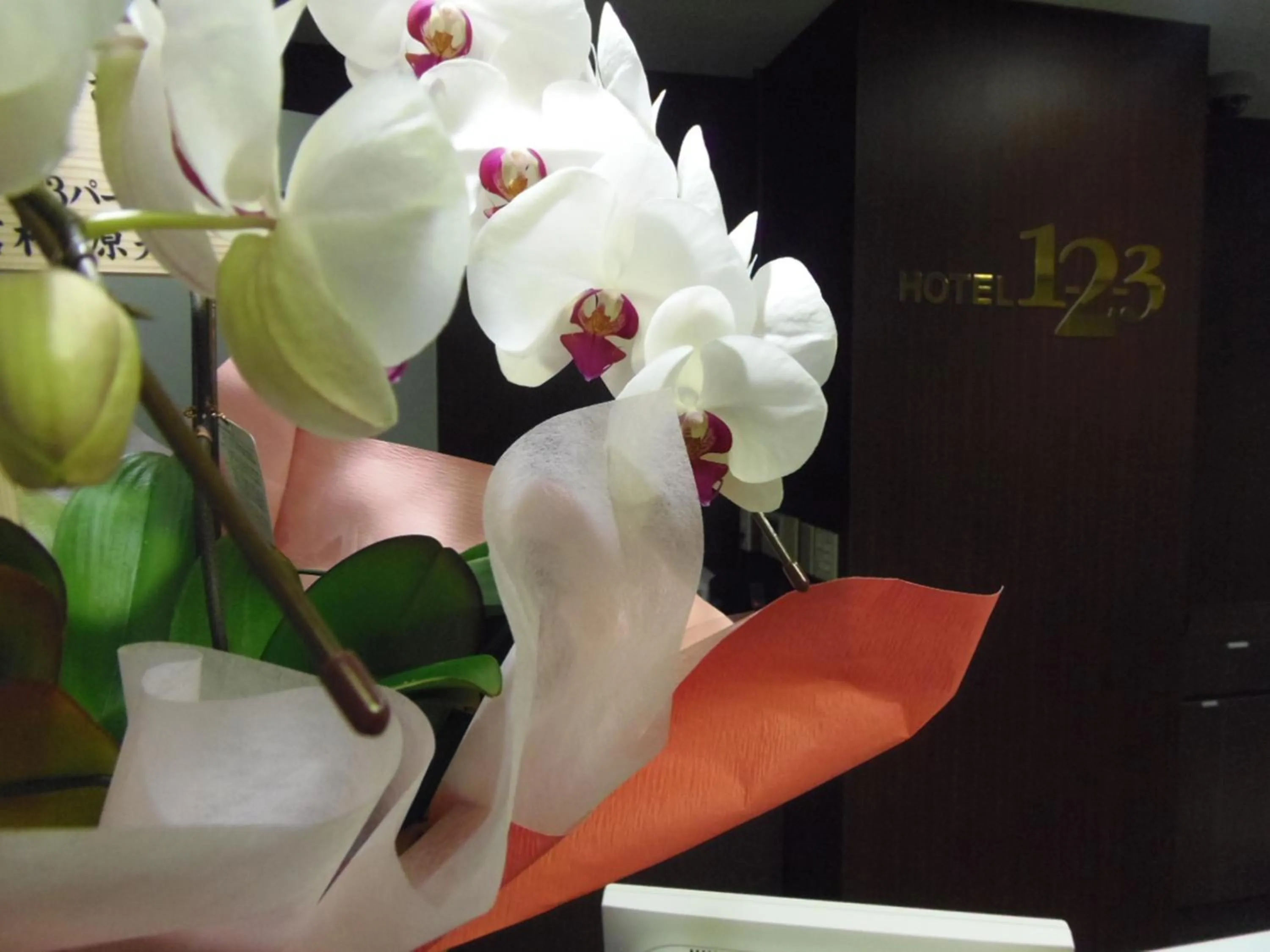 Other in Hotel 1-2-3 Kokura