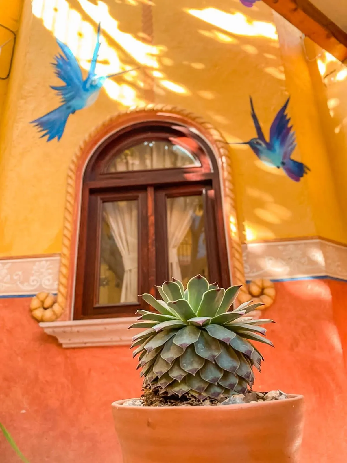 Patio in Hotel Boutique Santo Cuervo