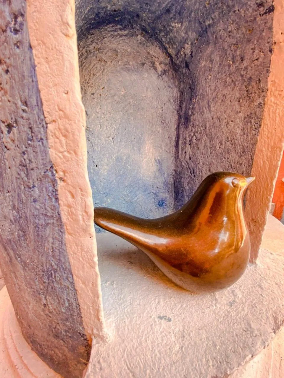 Animals in Hotel Boutique Santo Cuervo