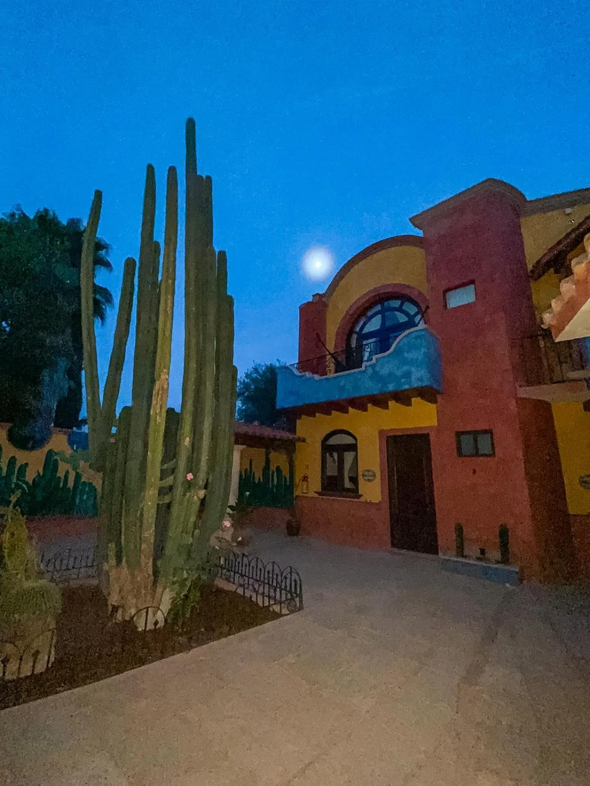 Patio in Hotel Boutique Santo Cuervo