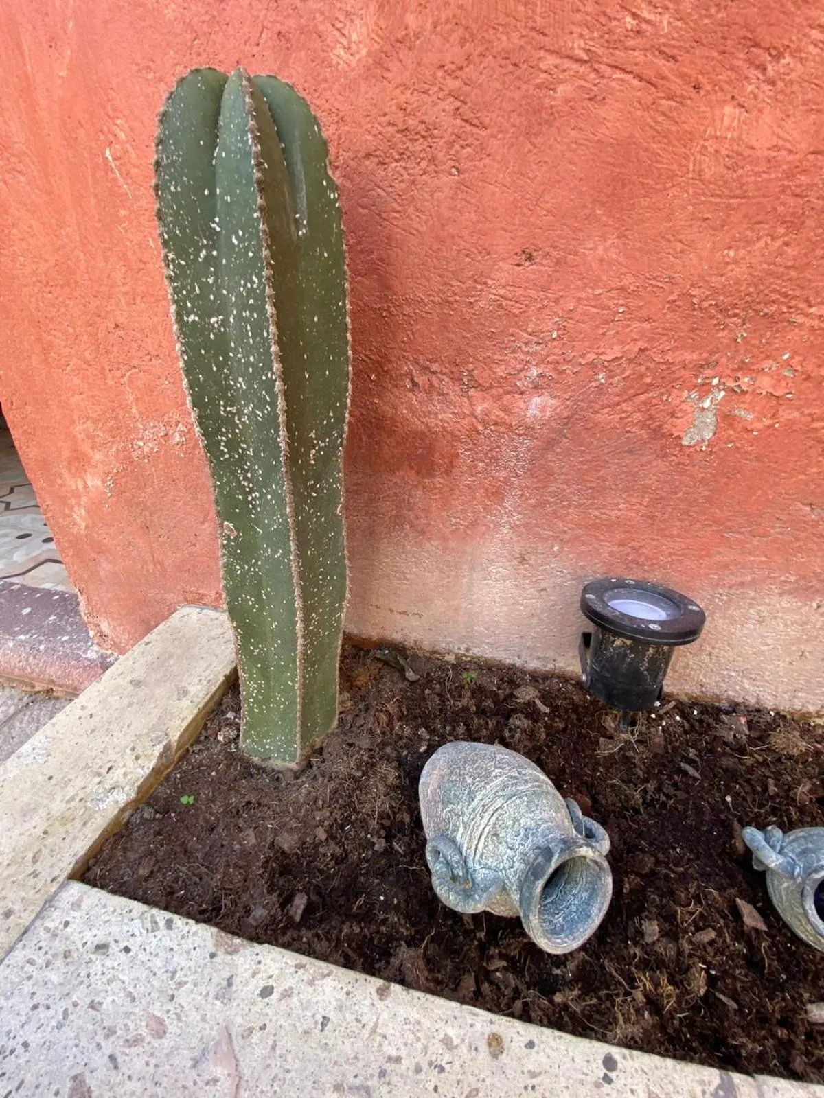 Natural landscape in Hotel Boutique Santo Cuervo