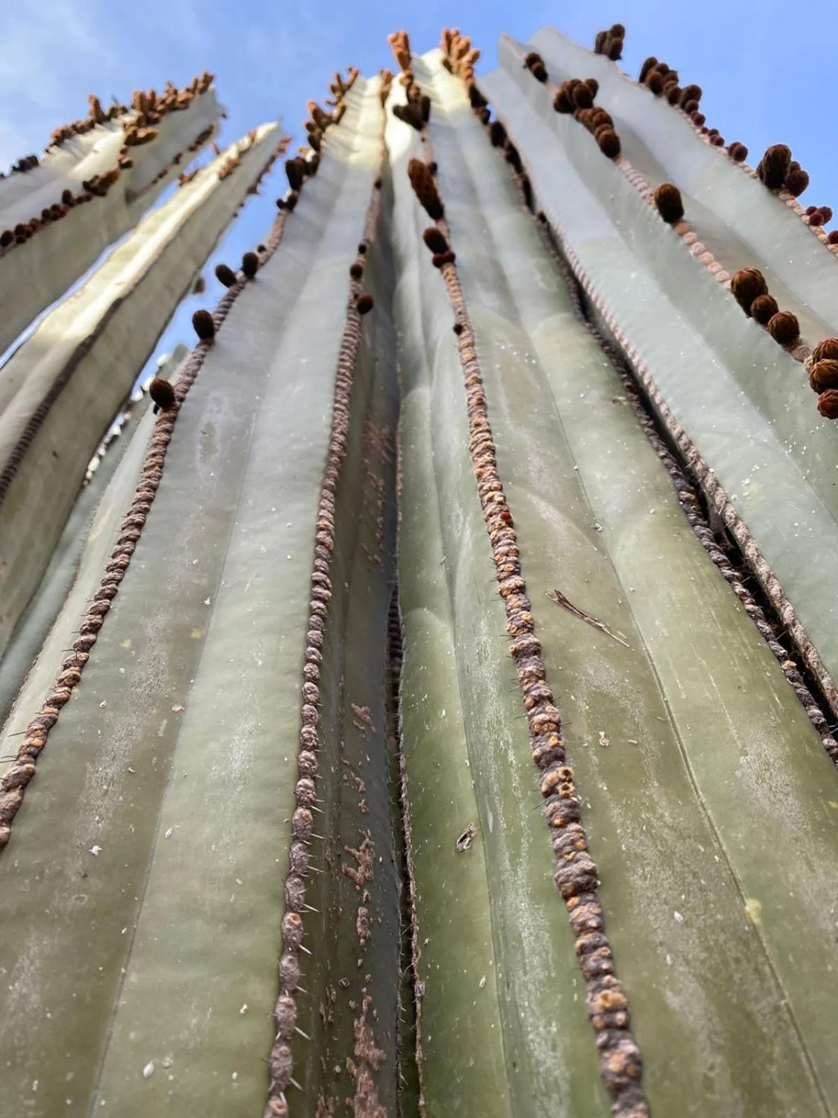 Natural landscape in Hotel Boutique Santo Cuervo