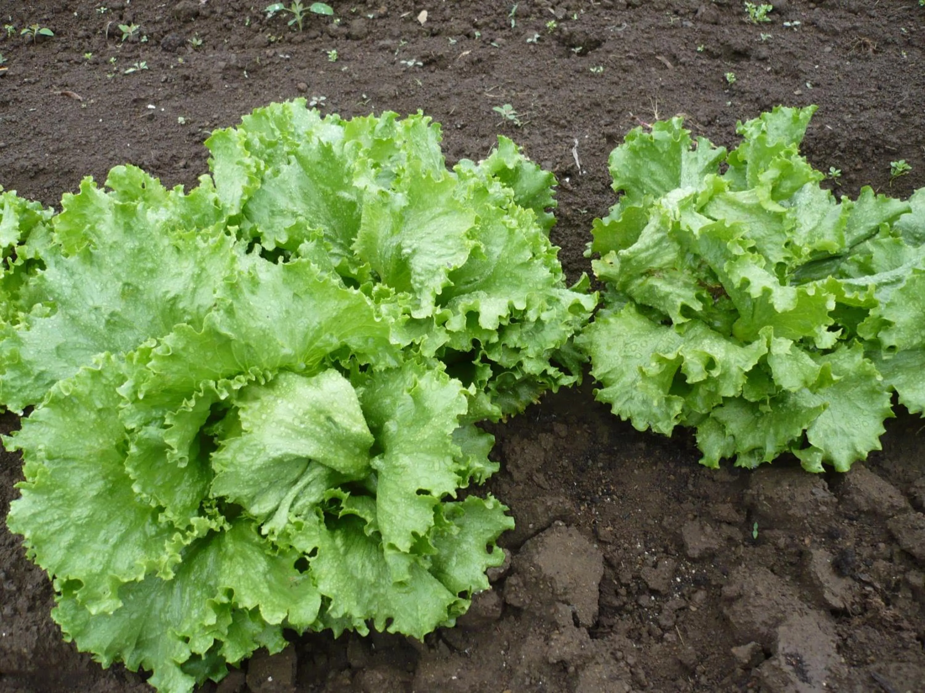 Other in Oyado Nozawaya