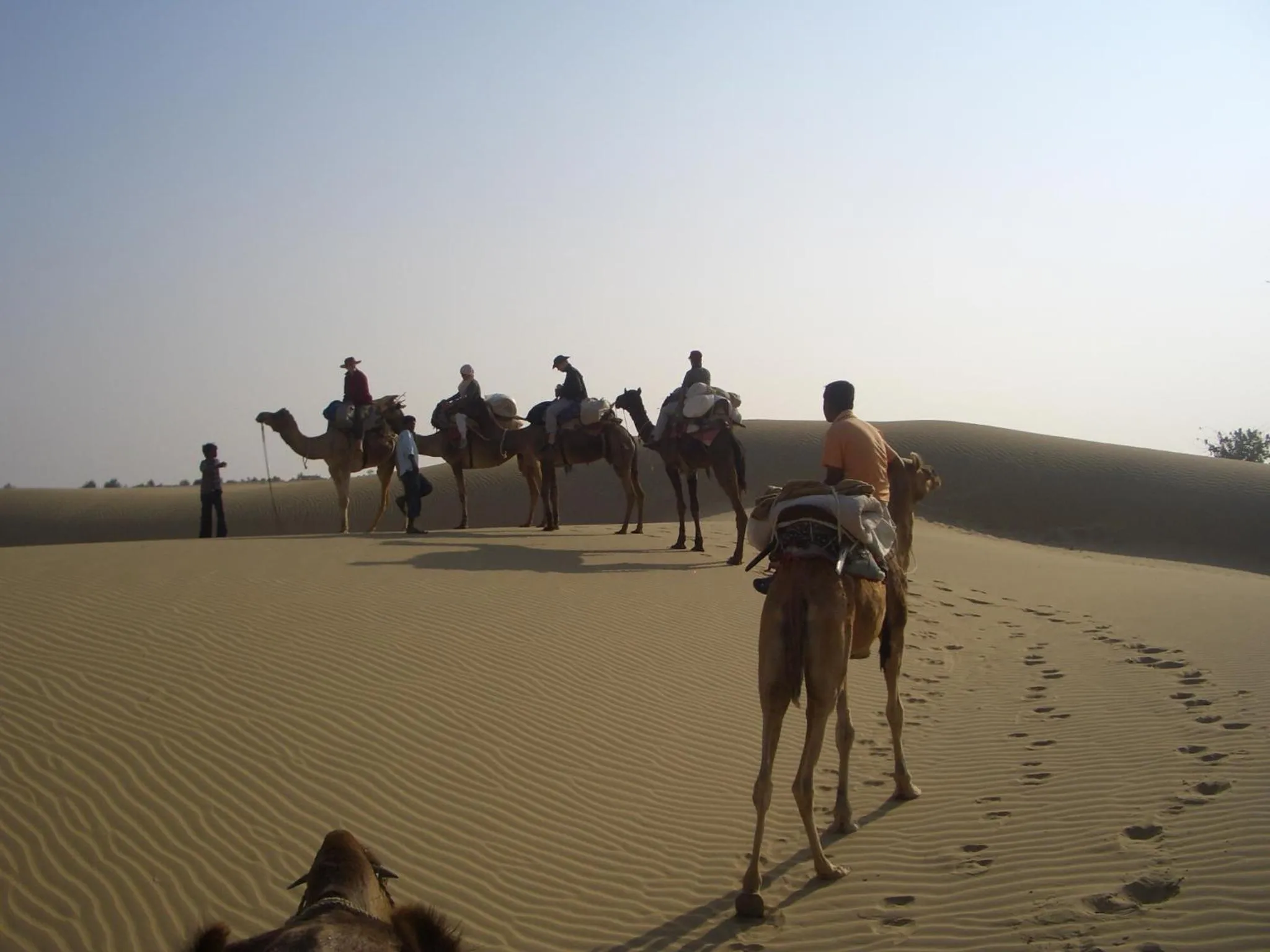 Day in Shahi Palace Hotel Jaisalmer