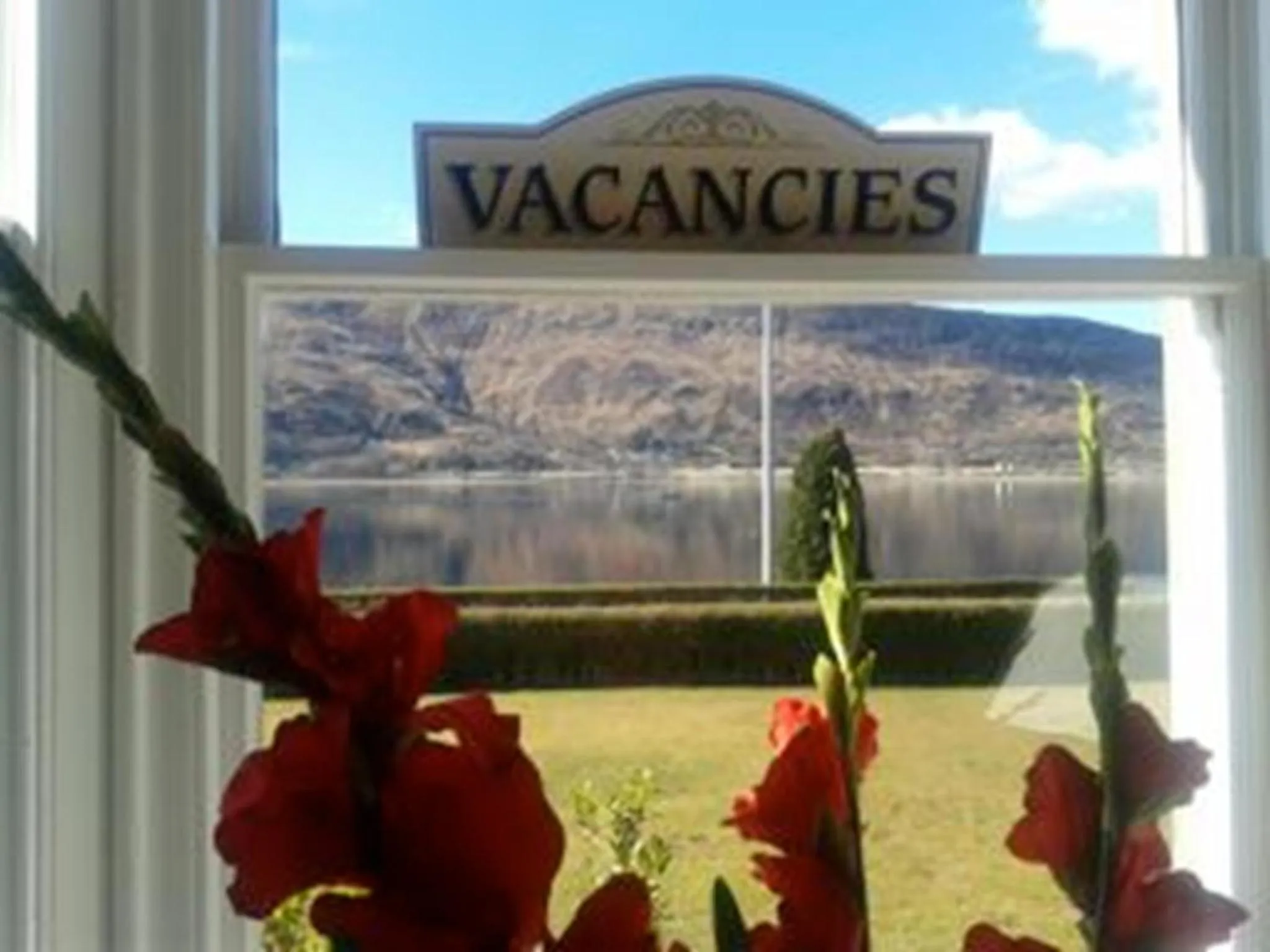 Day in Buccleuch Guest House