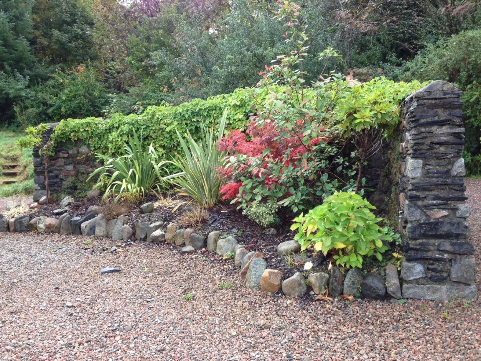 Garden in Buccleuch Guest House