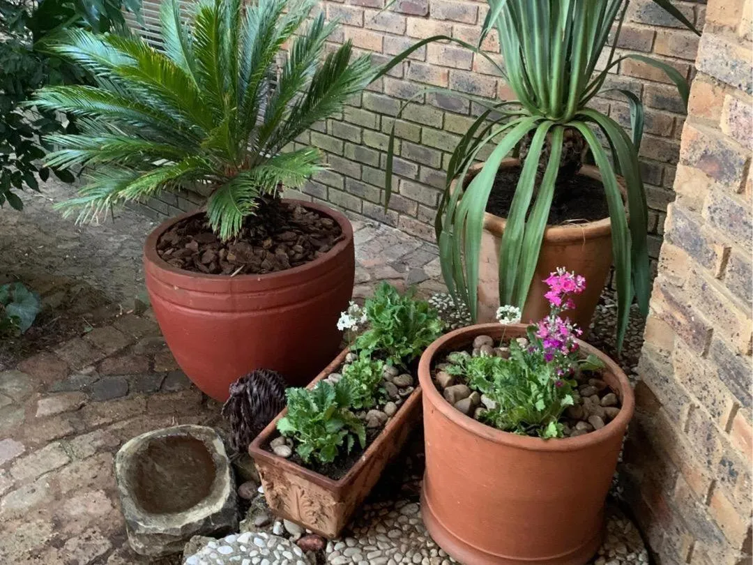 Garden in Shepherd Lodge