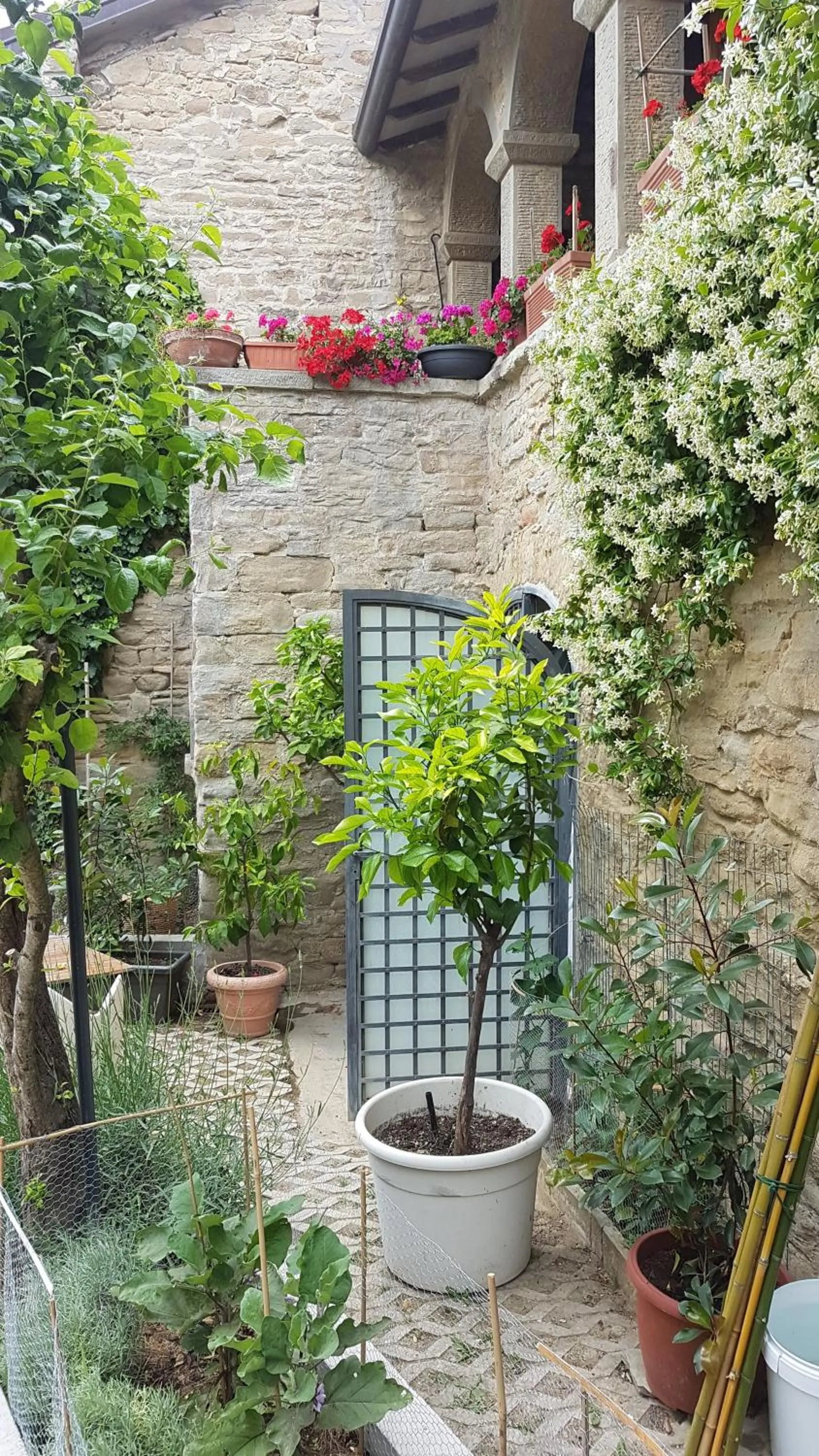 Patio in #FortCozzo - JacuzziSuite & Sauna - Casola Valsenio