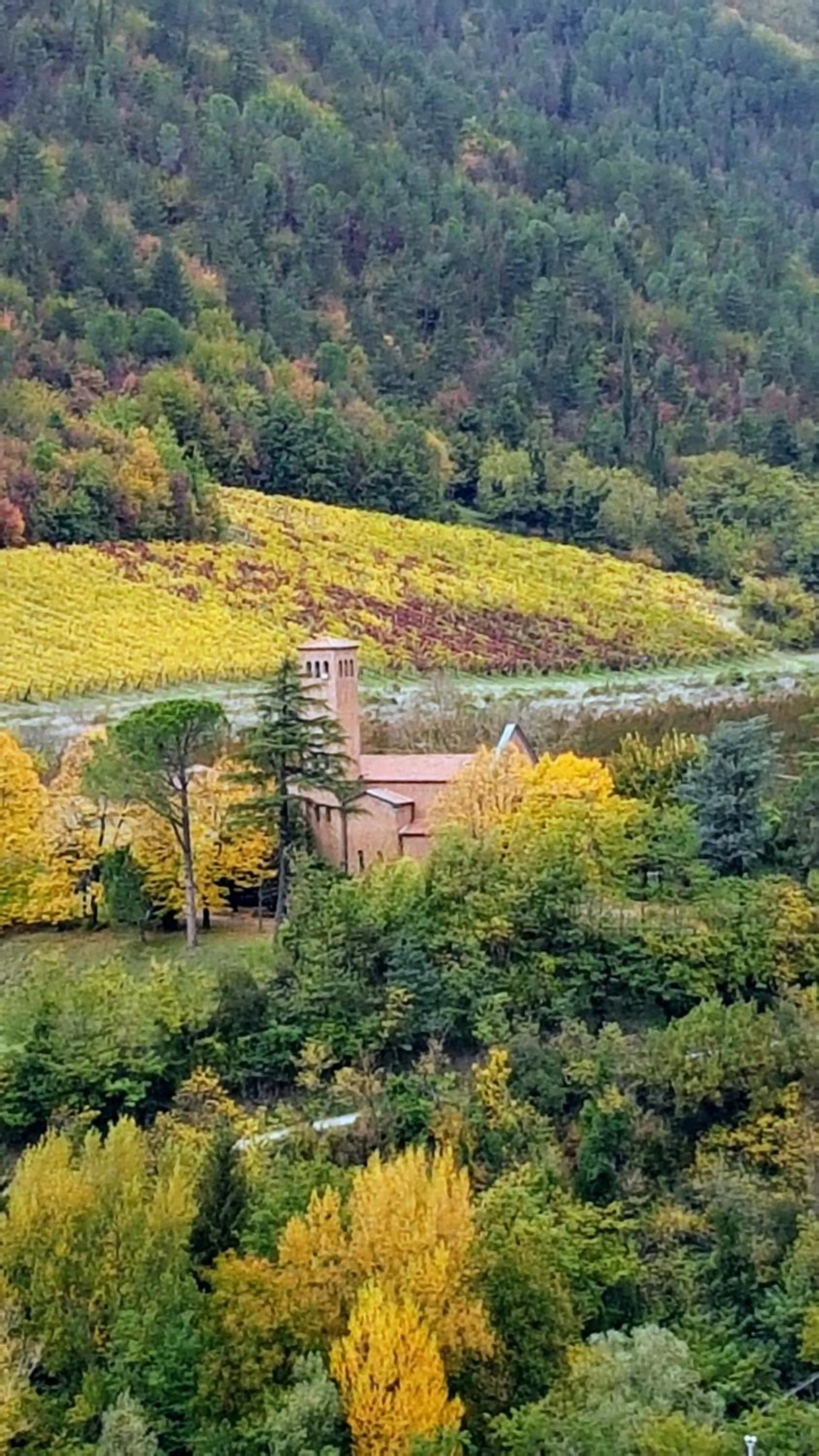 Natural landscape in #FortCozzo - JacuzziSuite & Sauna - Casola Valsenio