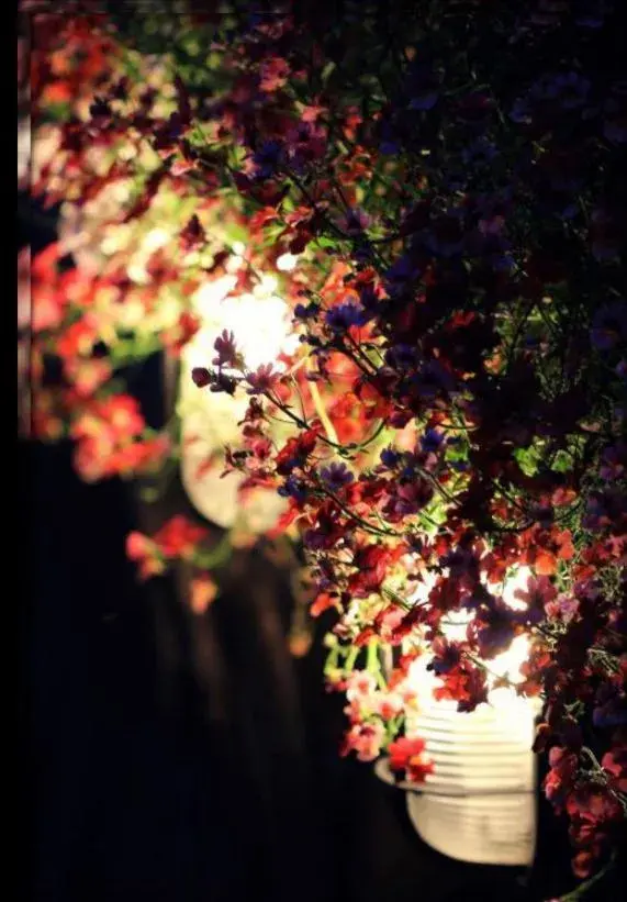 Guest house Baltika Guest house Baltika