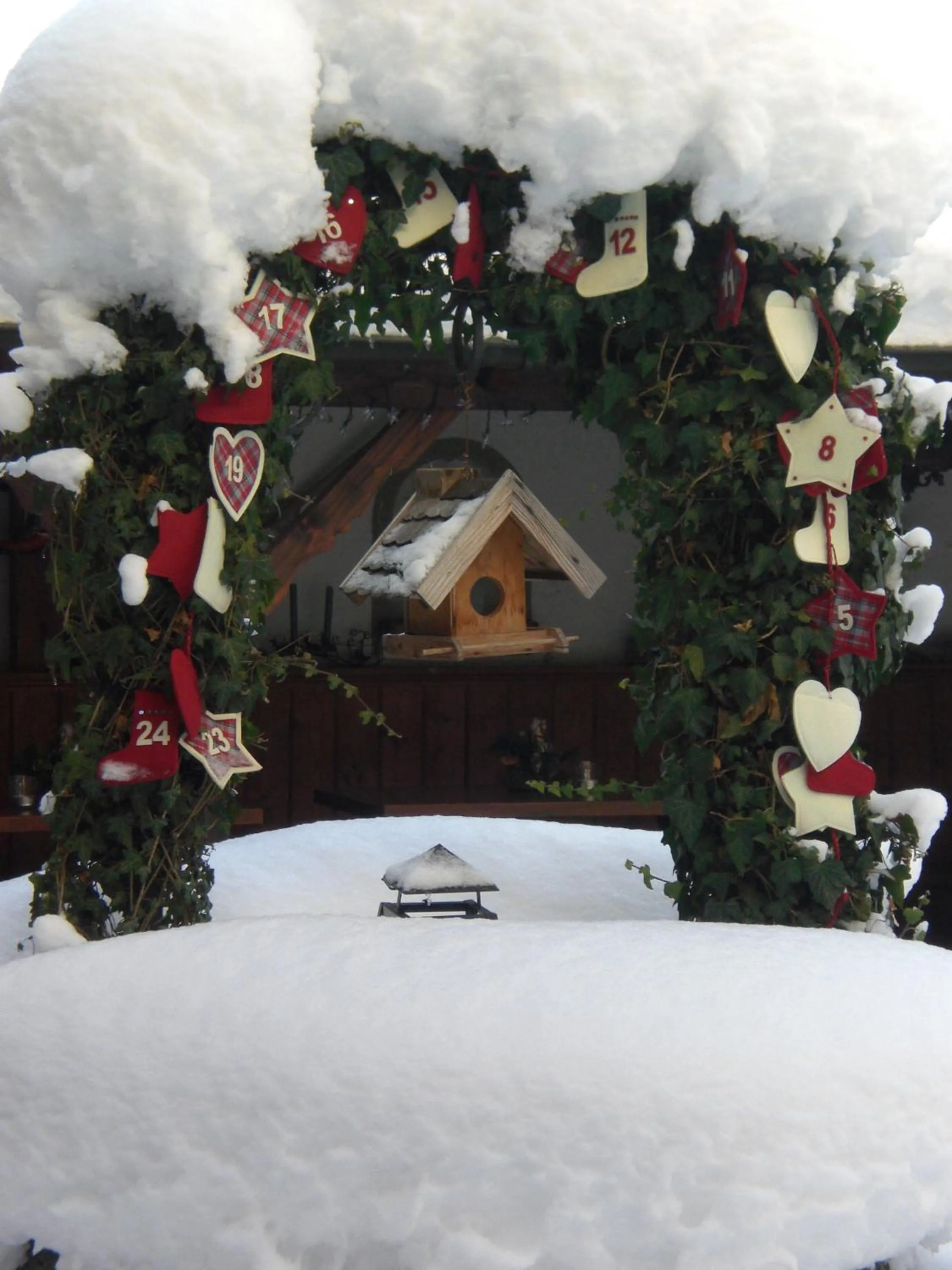 Garden, Winter in Hotel Sonnenbichl