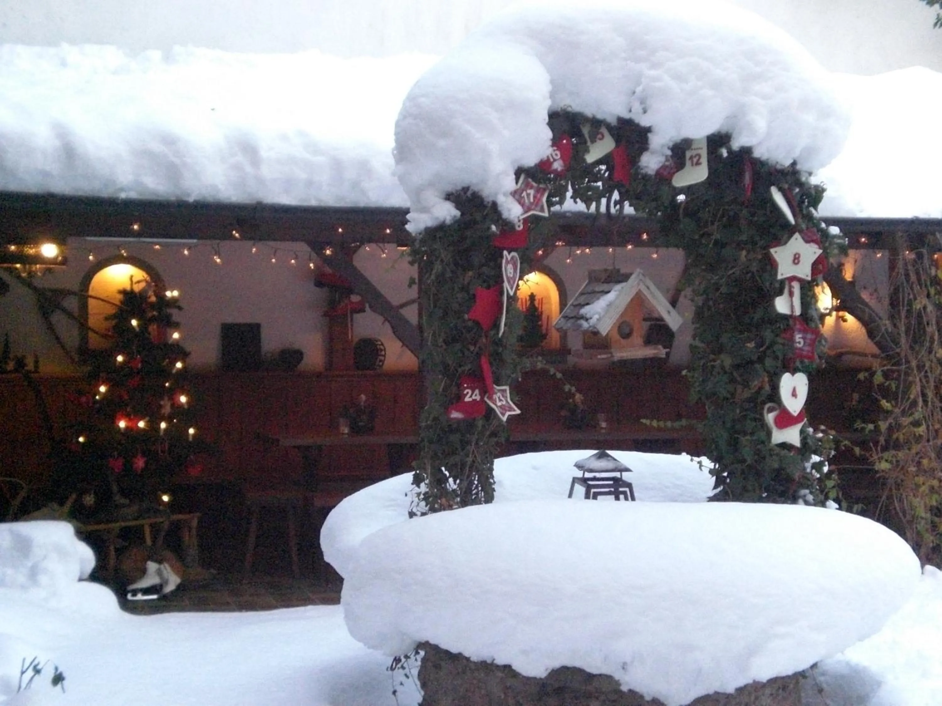 Garden, Winter in Hotel Sonnenbichl