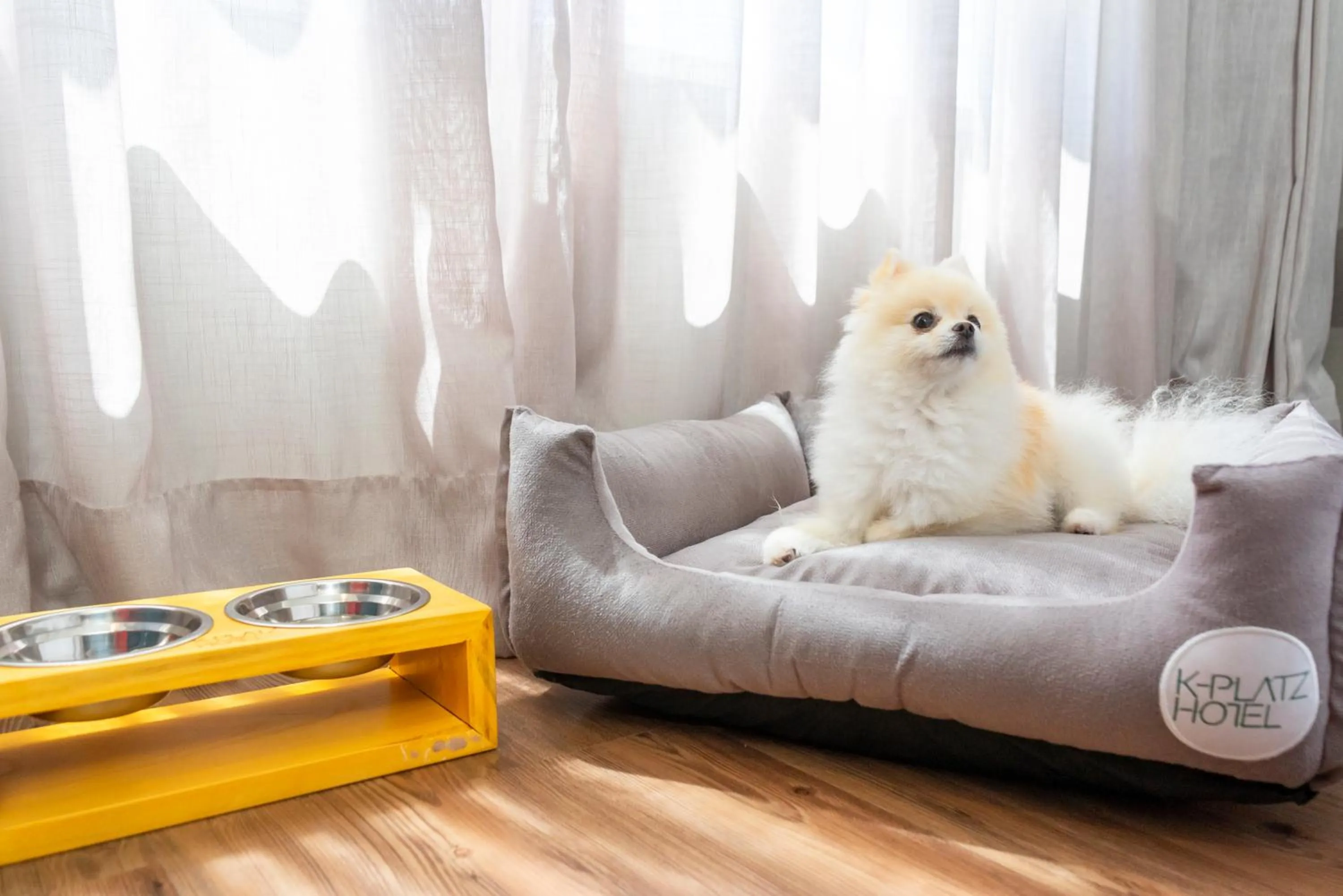 Living room in K-Platz Hotel