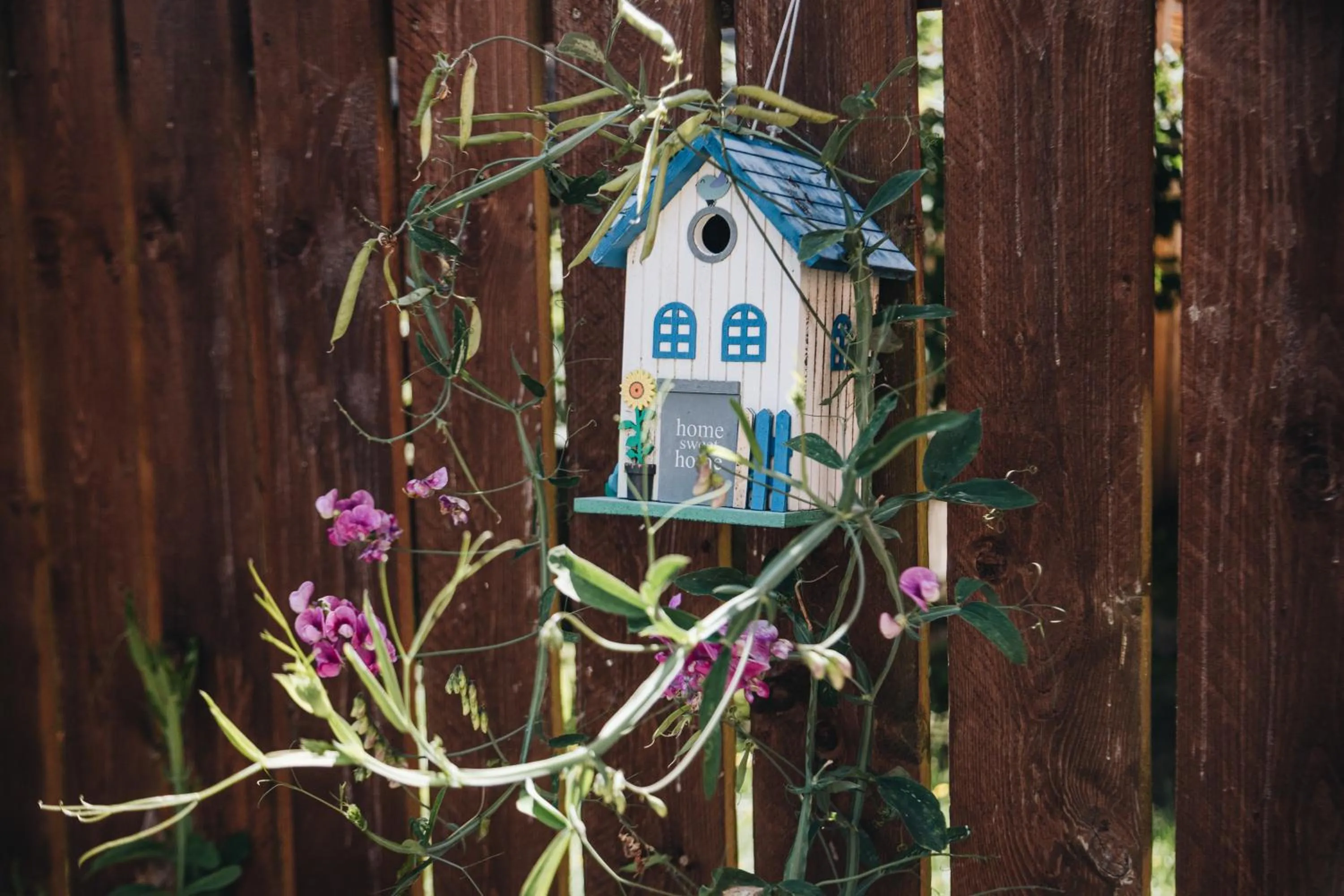 Property building in Biohotel Amadeus