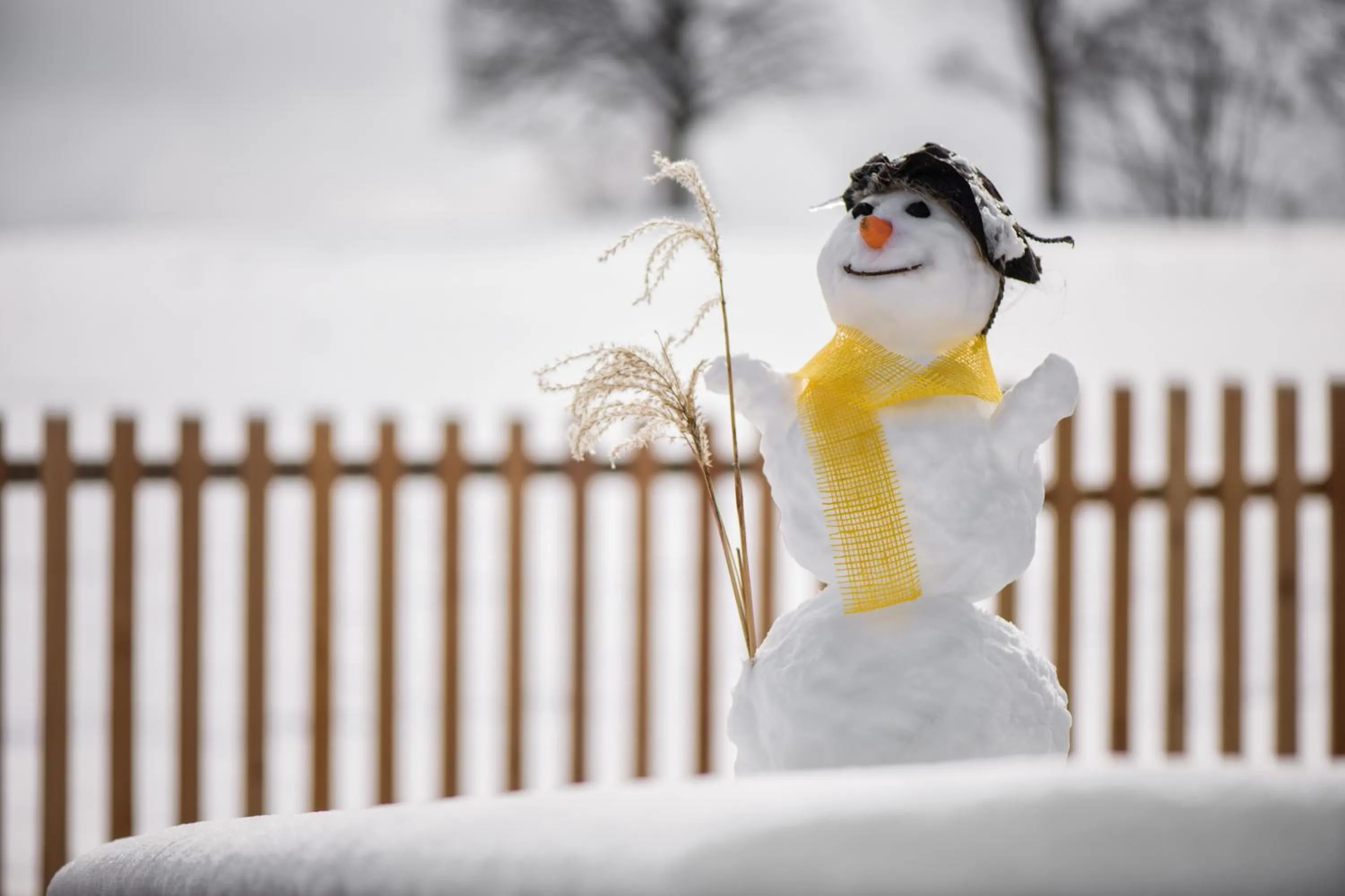 Decorative detail in Der Burgfellnerhof - Adults Only