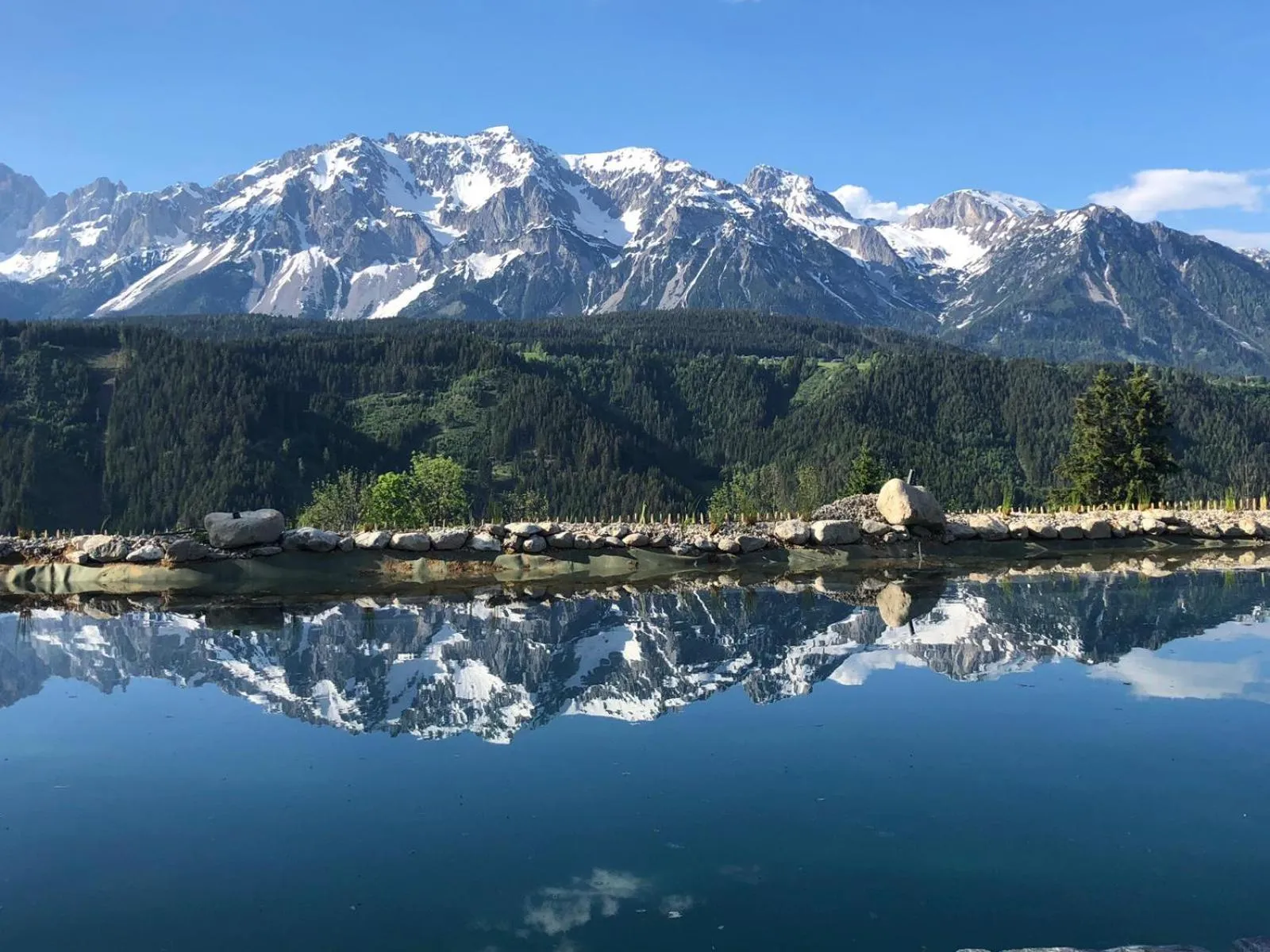 Swimming pool in Der Burgfellnerhof - Adults Only
