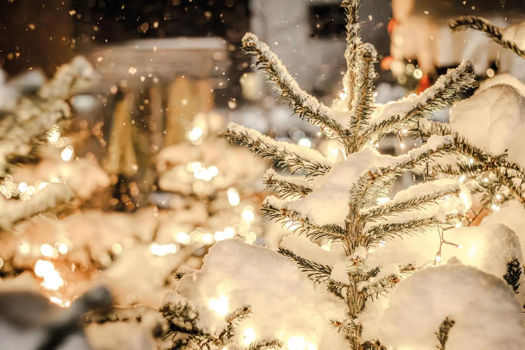 Balcony/Terrace in Hotel Kristall - Adults only