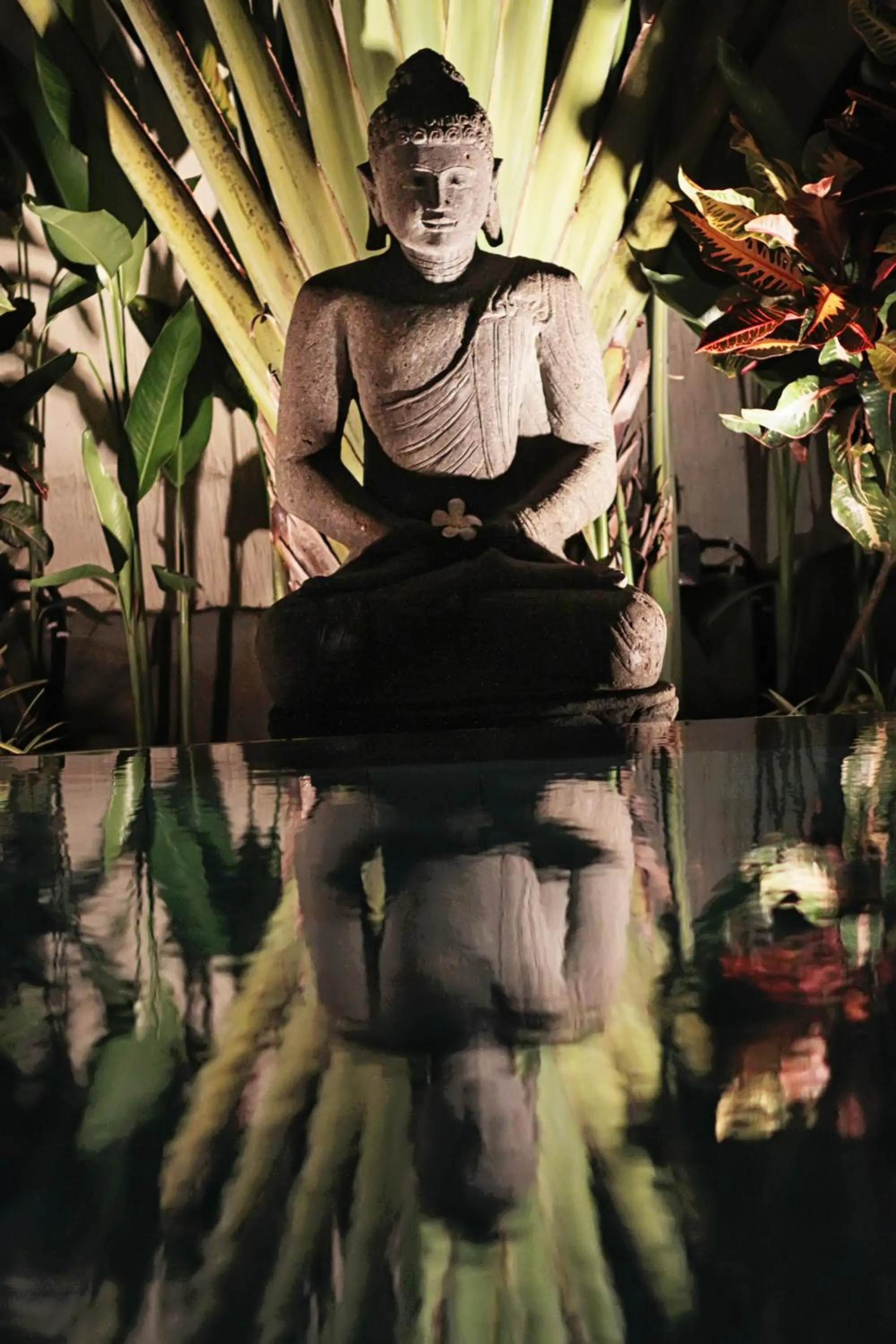 Garden in Mayana Villas