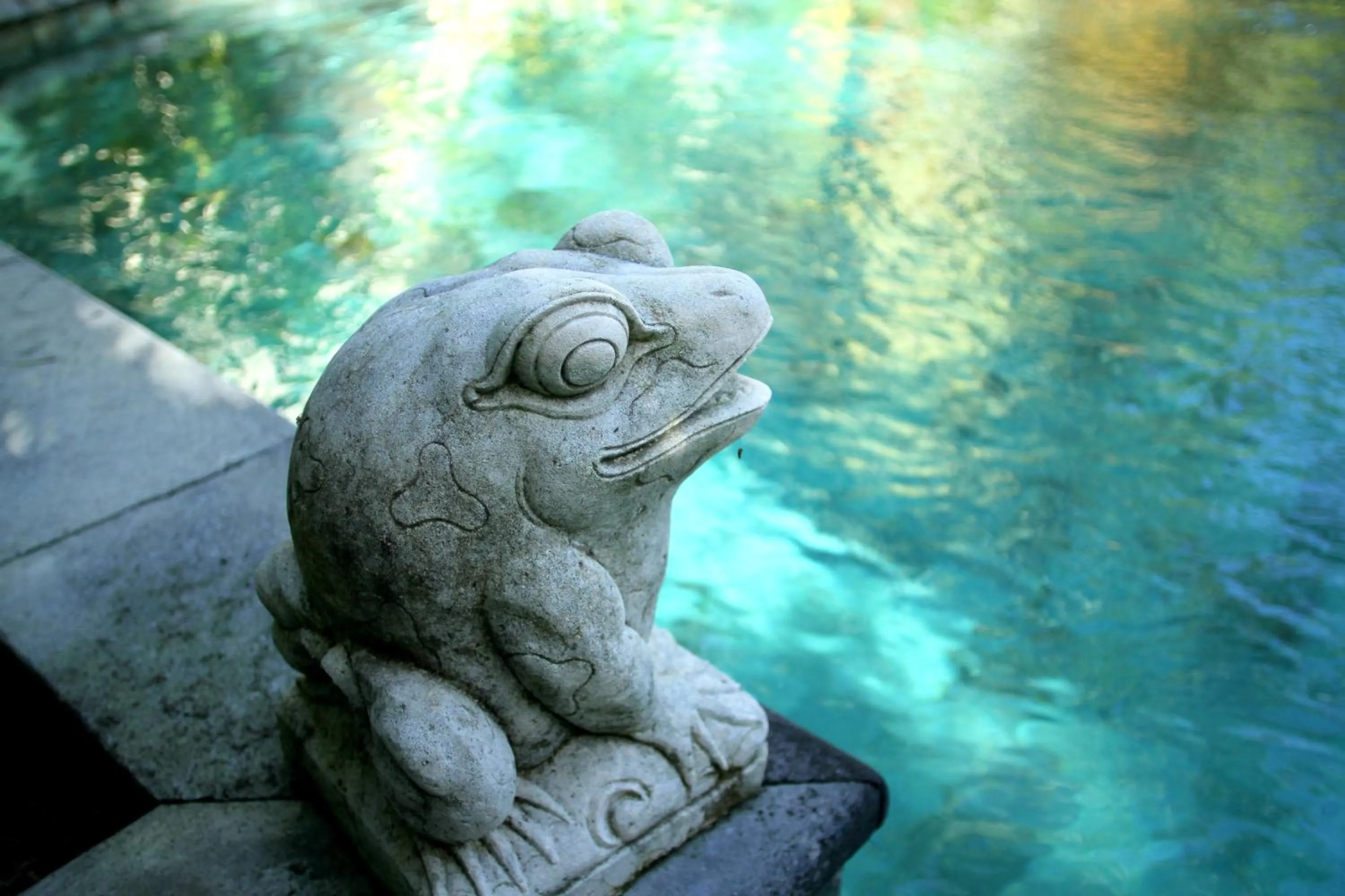 Swimming pool in Mayana Villas