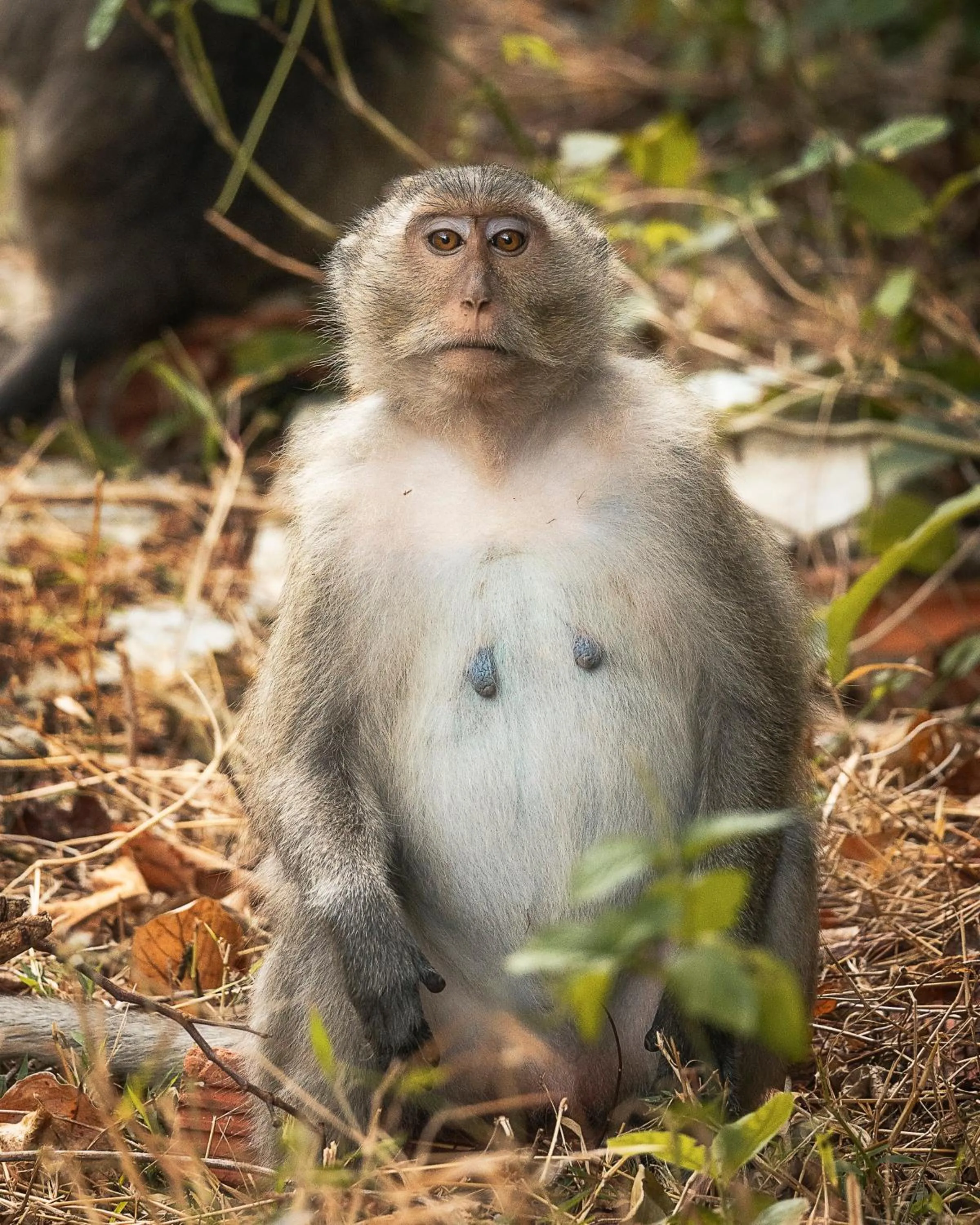 Neighbourhood in Orson Hotel & Resort Con Dao