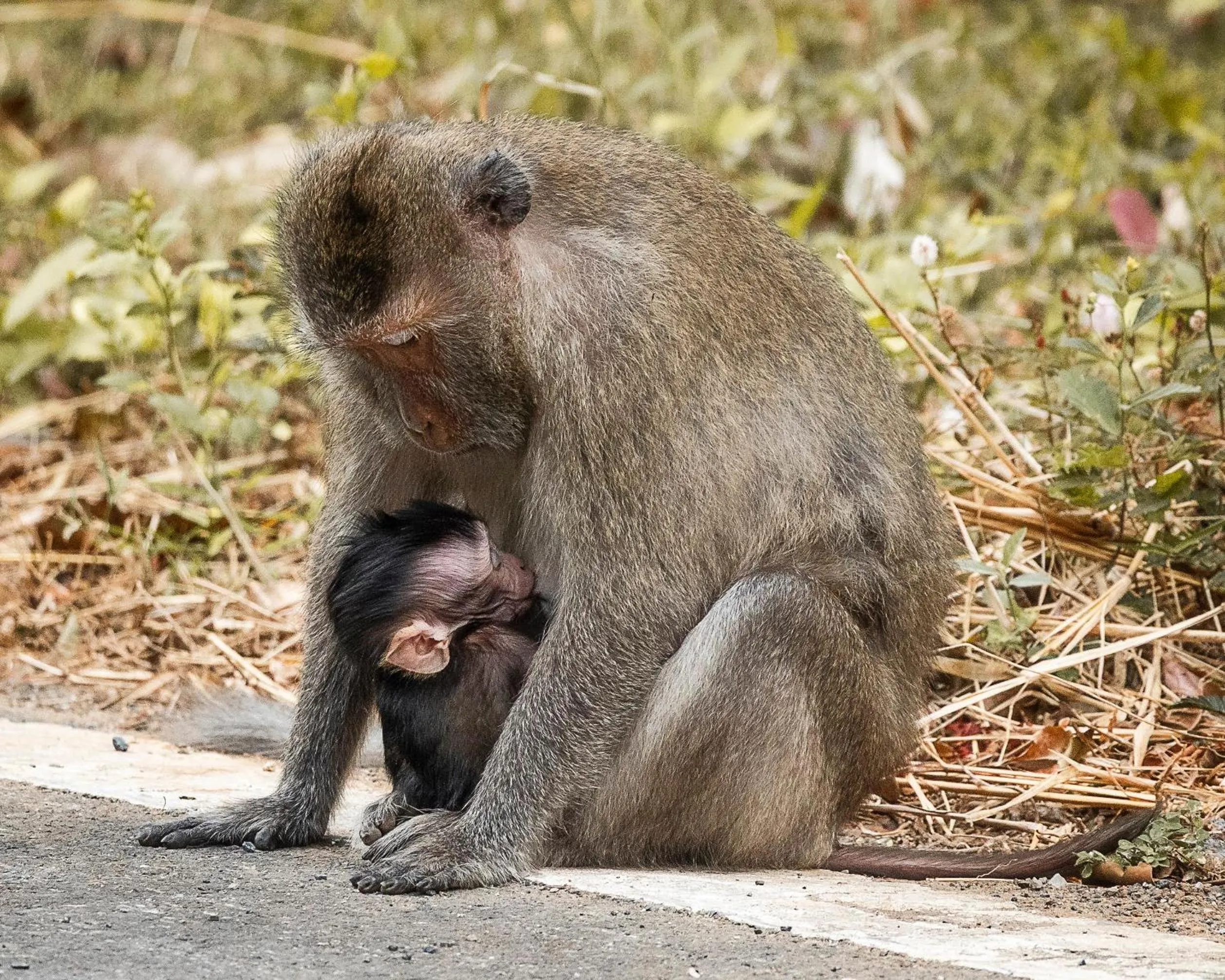 Neighbourhood in Orson Hotel & Resort Con Dao