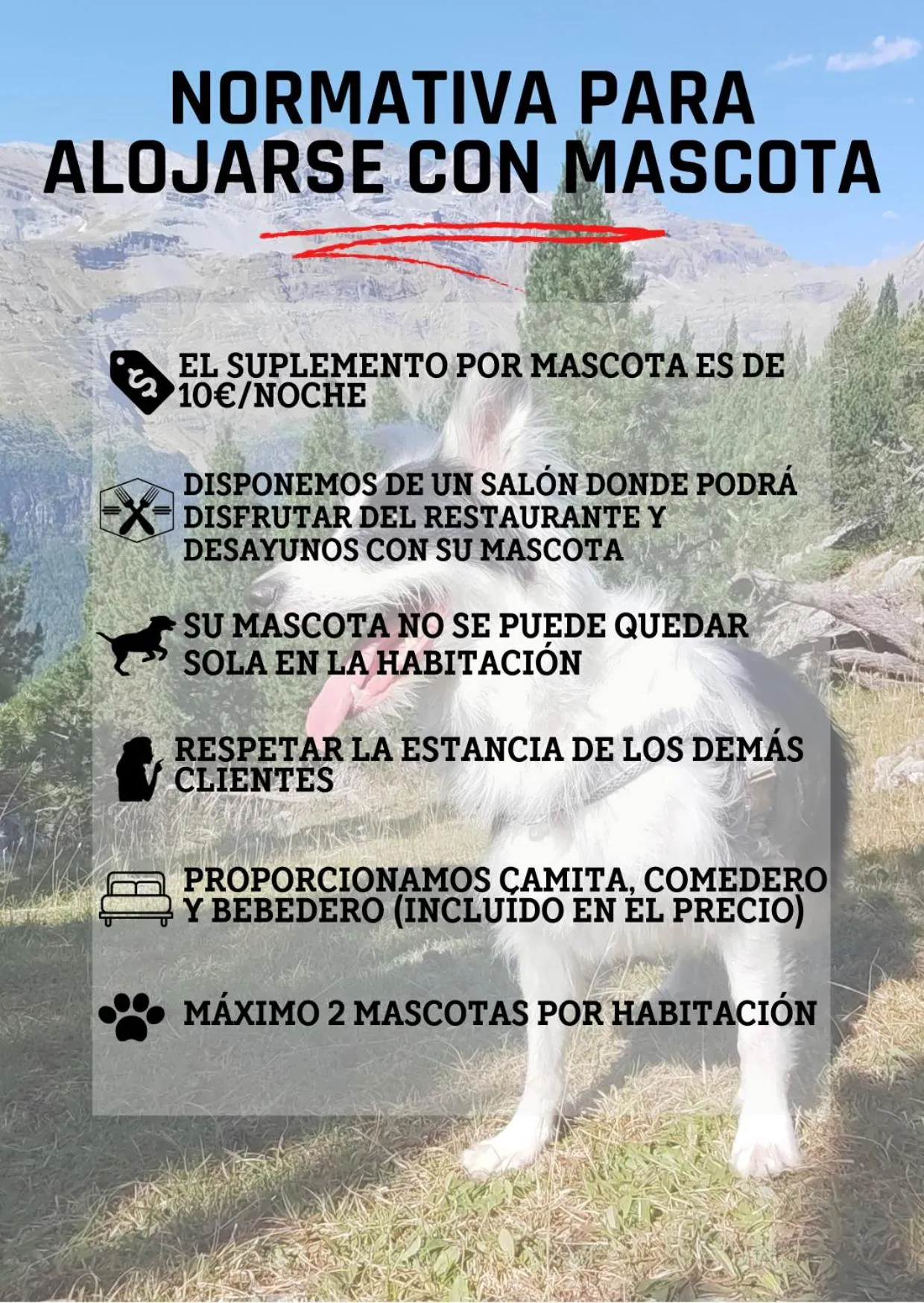 Property building in Hotel Boltaña Ordesa