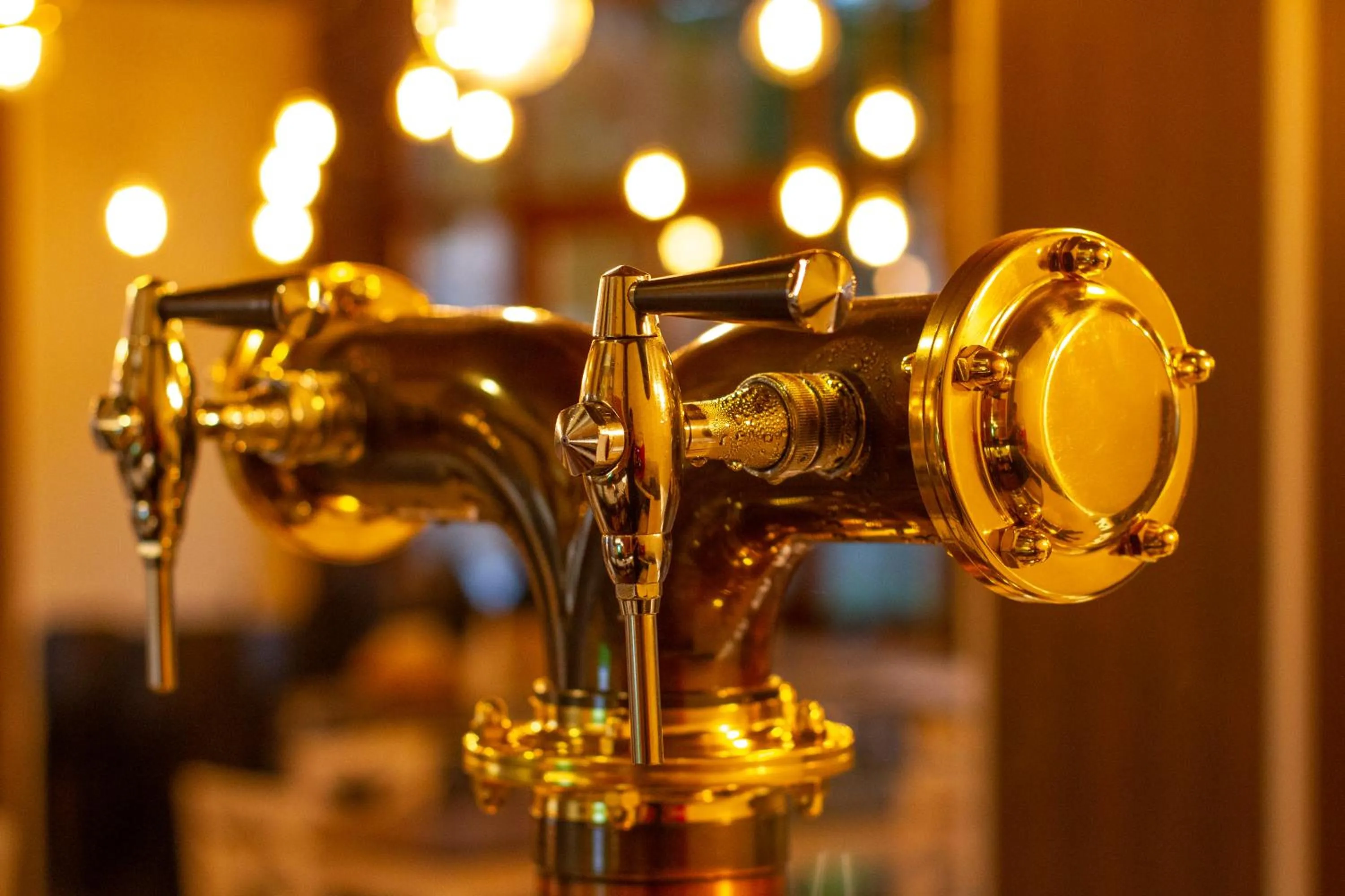 Restaurant/places to eat in Hotel Boltaña Ordesa