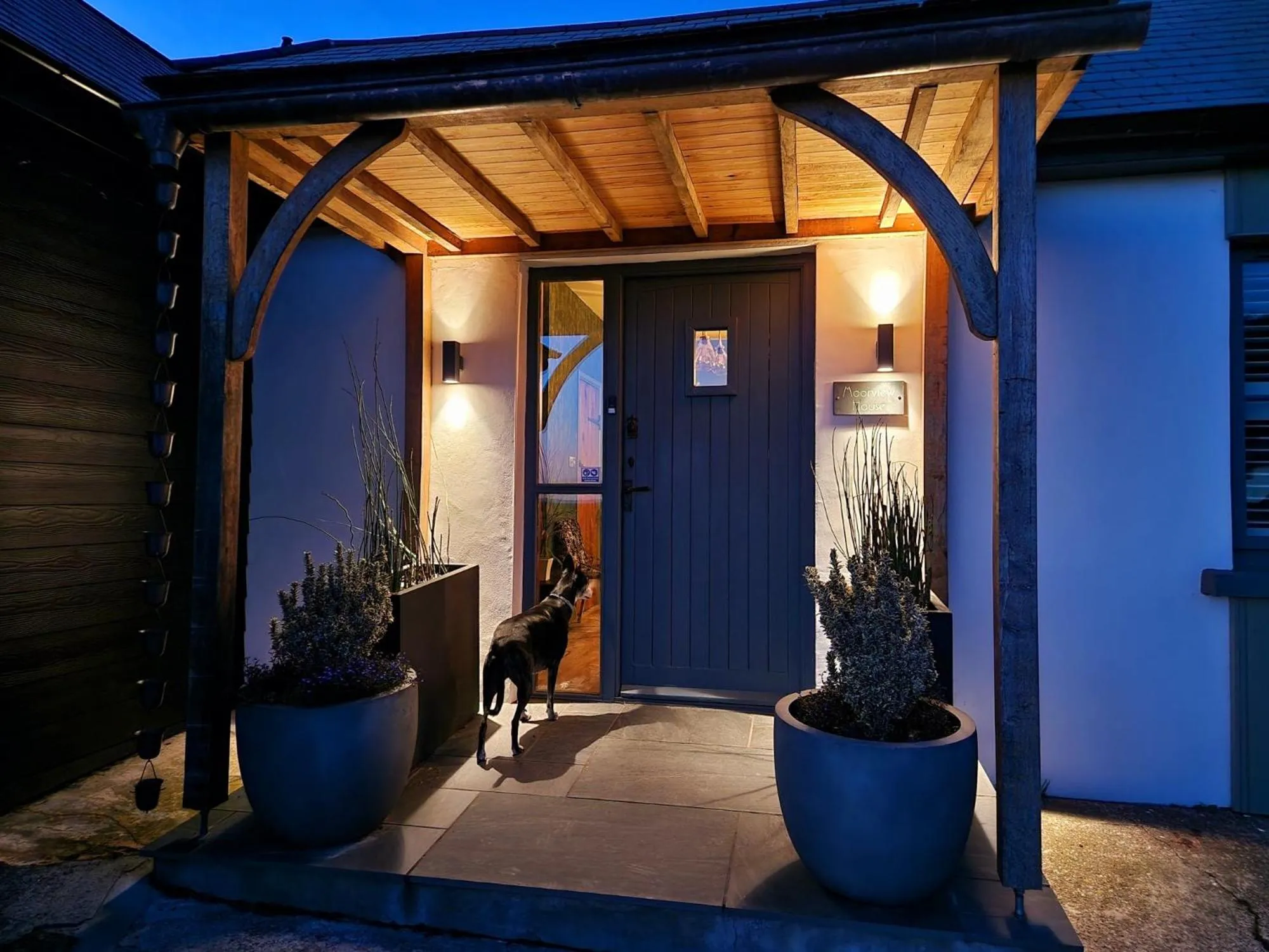 Property building in Moorview House