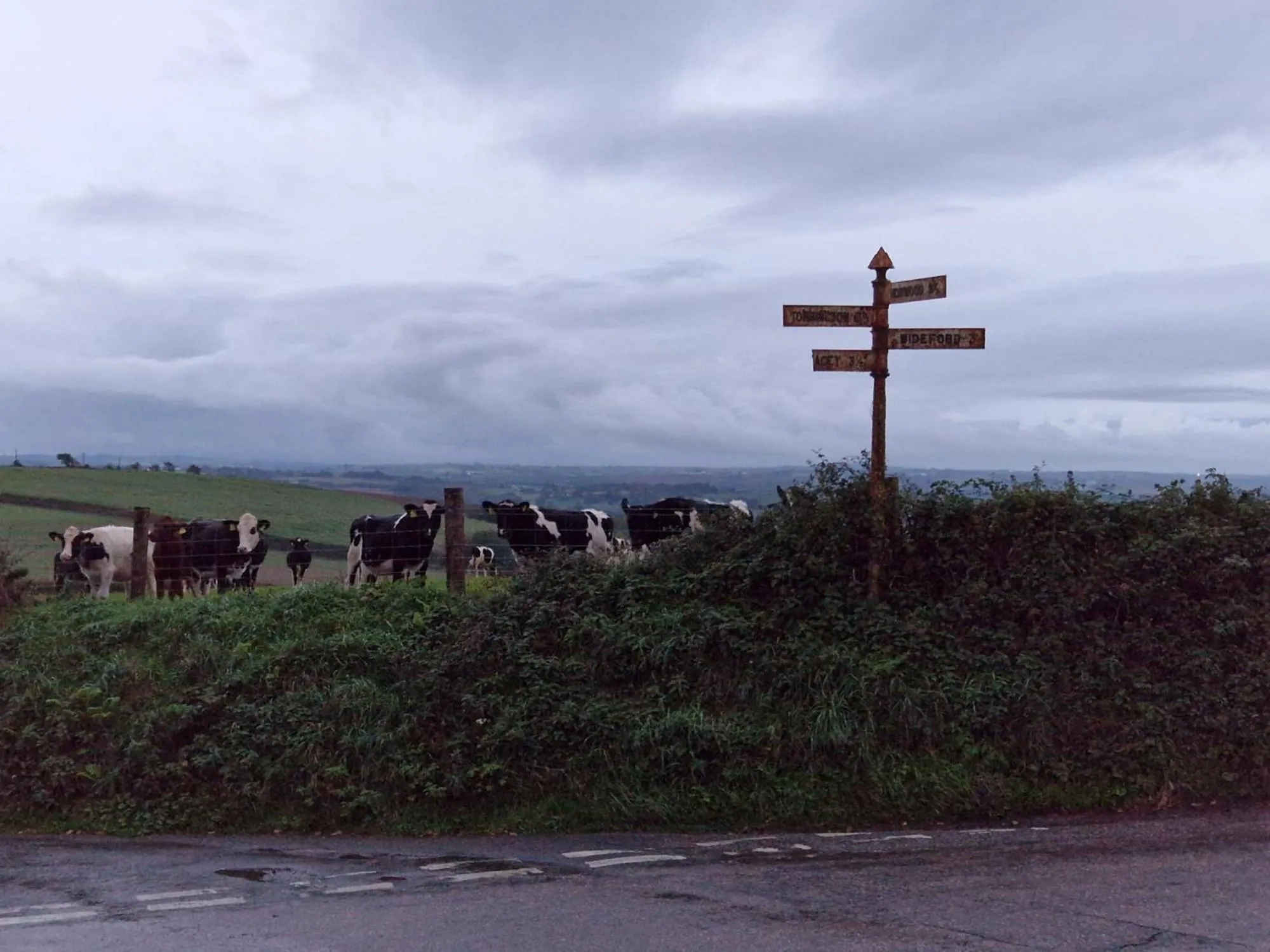 View (from property/room) in Moorview House